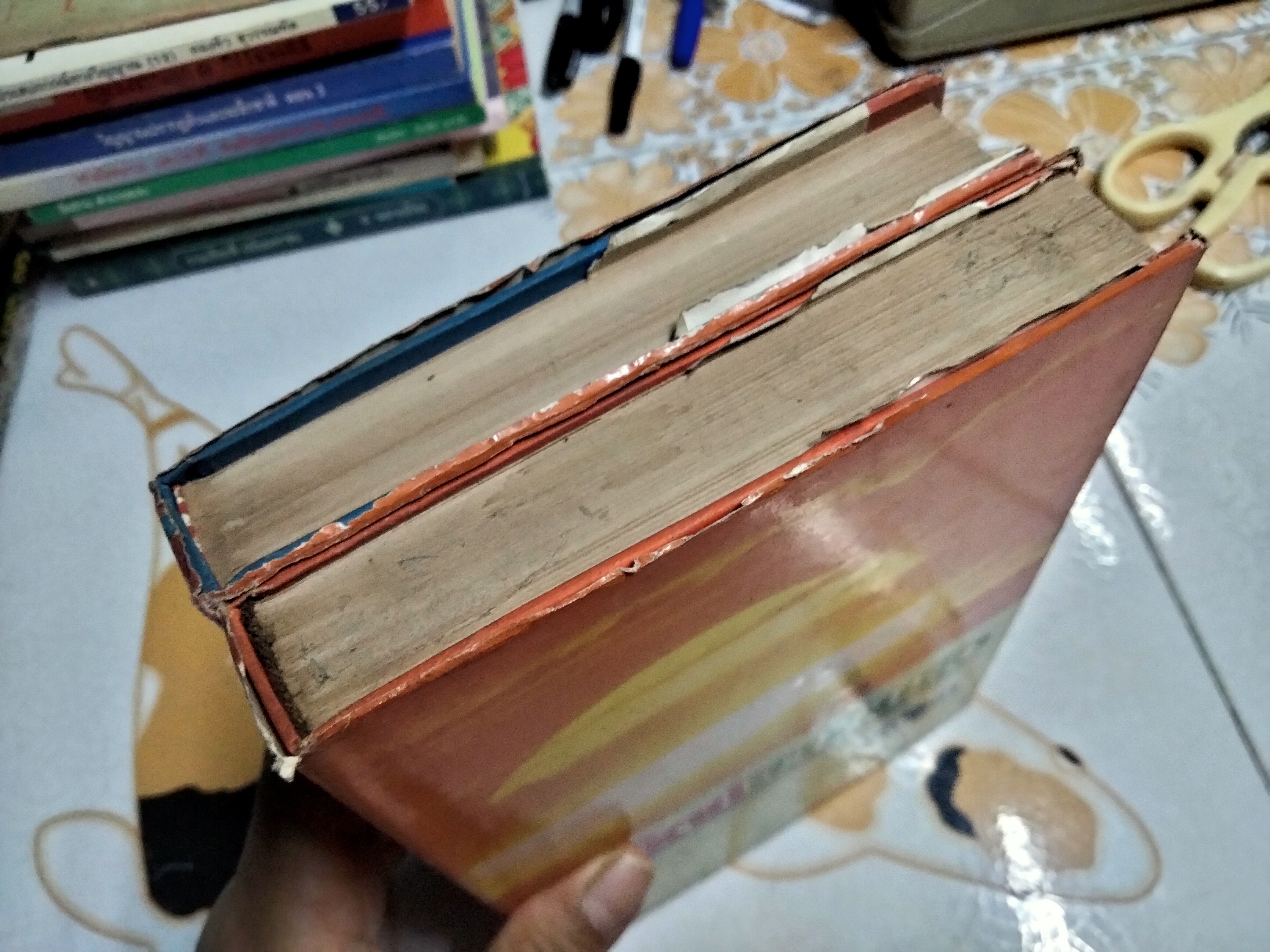 อาทิตย์สะบัดแสง (2 เล่มจบ) ธิตินัดดา สนพ. วังอักษร พ.ศ.2532 **สินค้าหมด**