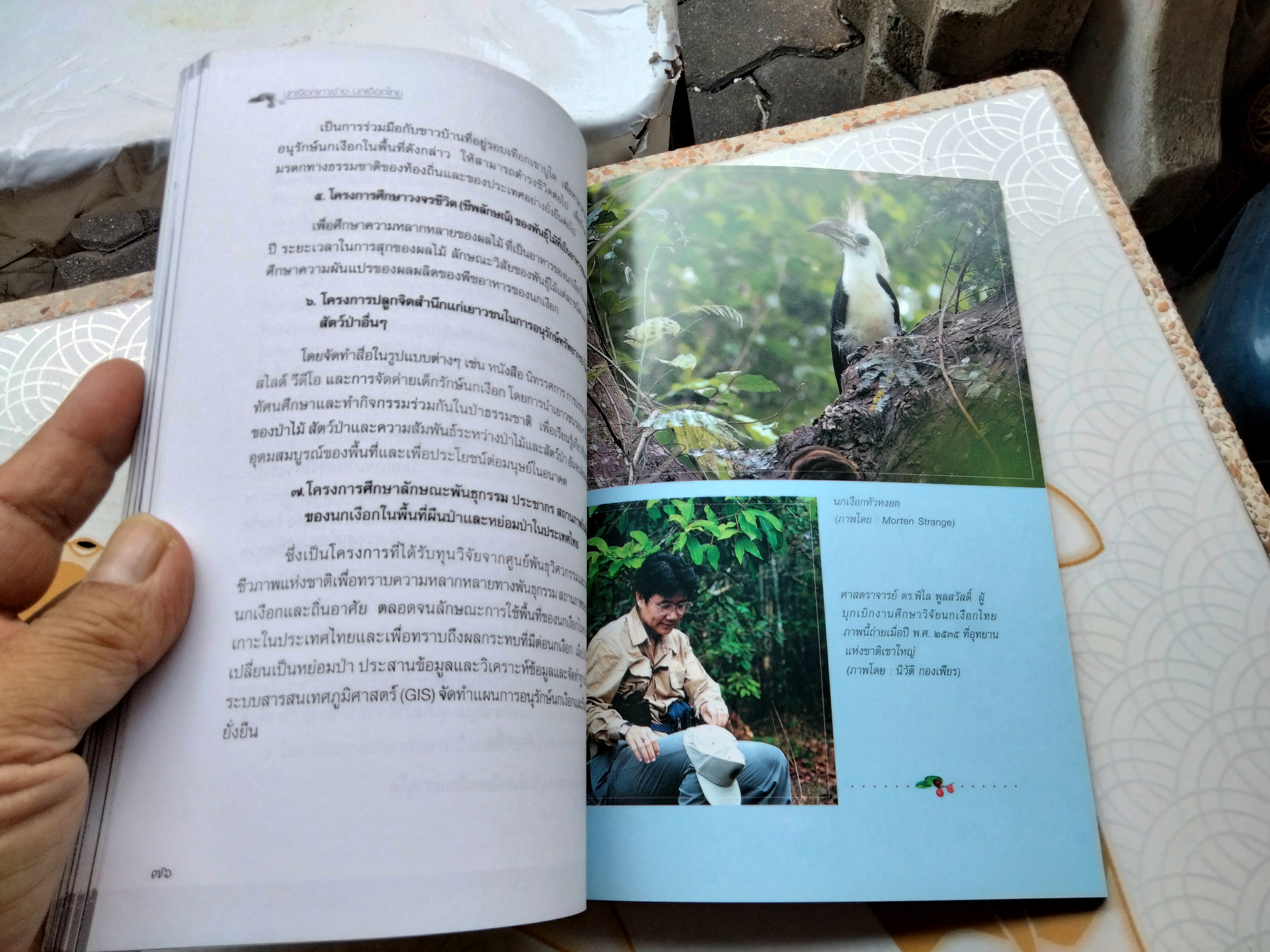 นกเงือกเกาะช้าง นกเงือกไทย , หนังสือ คำนำโดย ศาสตราจารย์ ดร.พิไล พูลสวัสดิ์ ปีพ.ศ 2548 **สินค้าหมด**