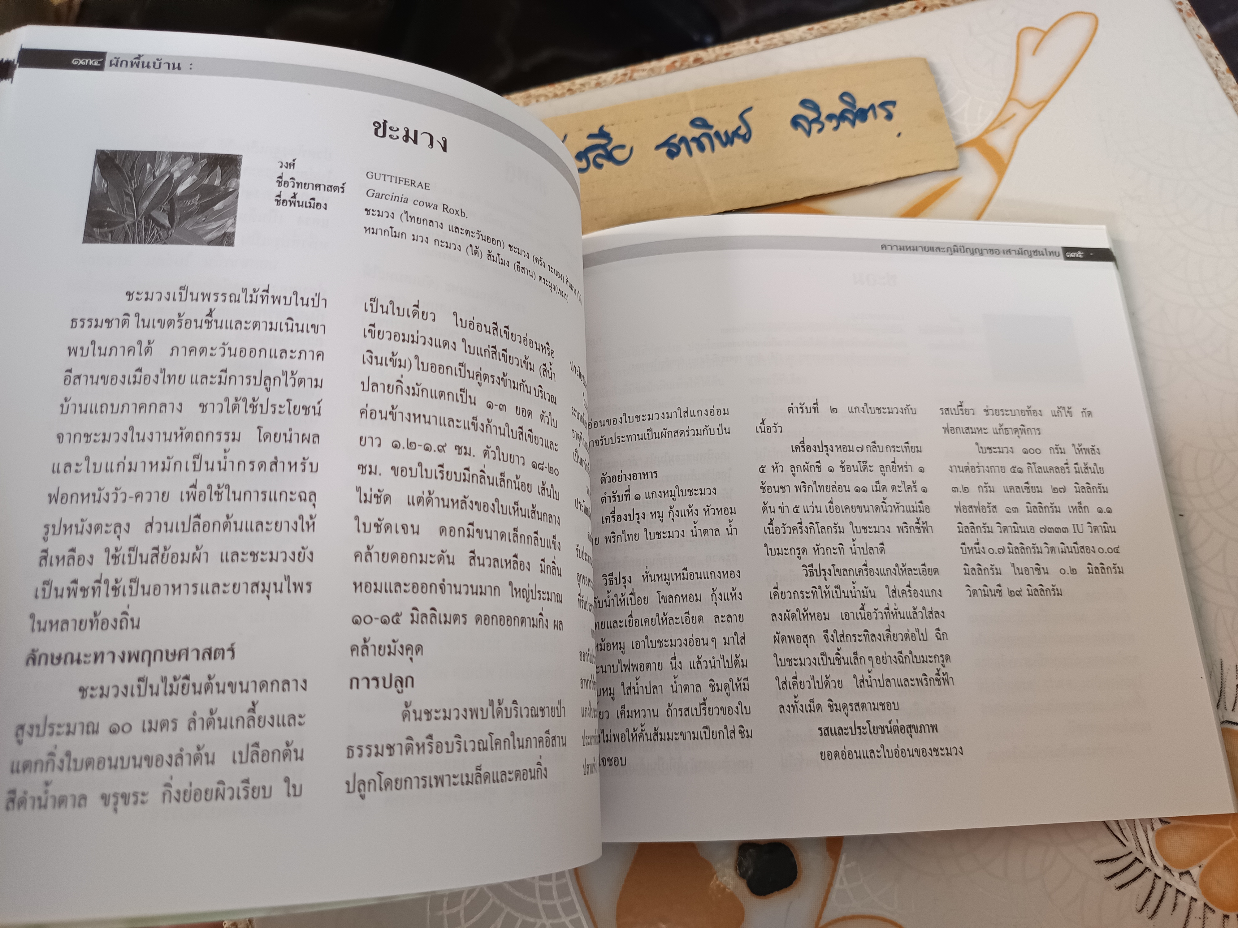 ผักพื้นบ้าน ความหมายและภูมิปัญญาของสามัญชนไทย โดย สถาบันการแพทย์แผนไทย กรมการแพทย์ กระทรวงสาธารณสุข