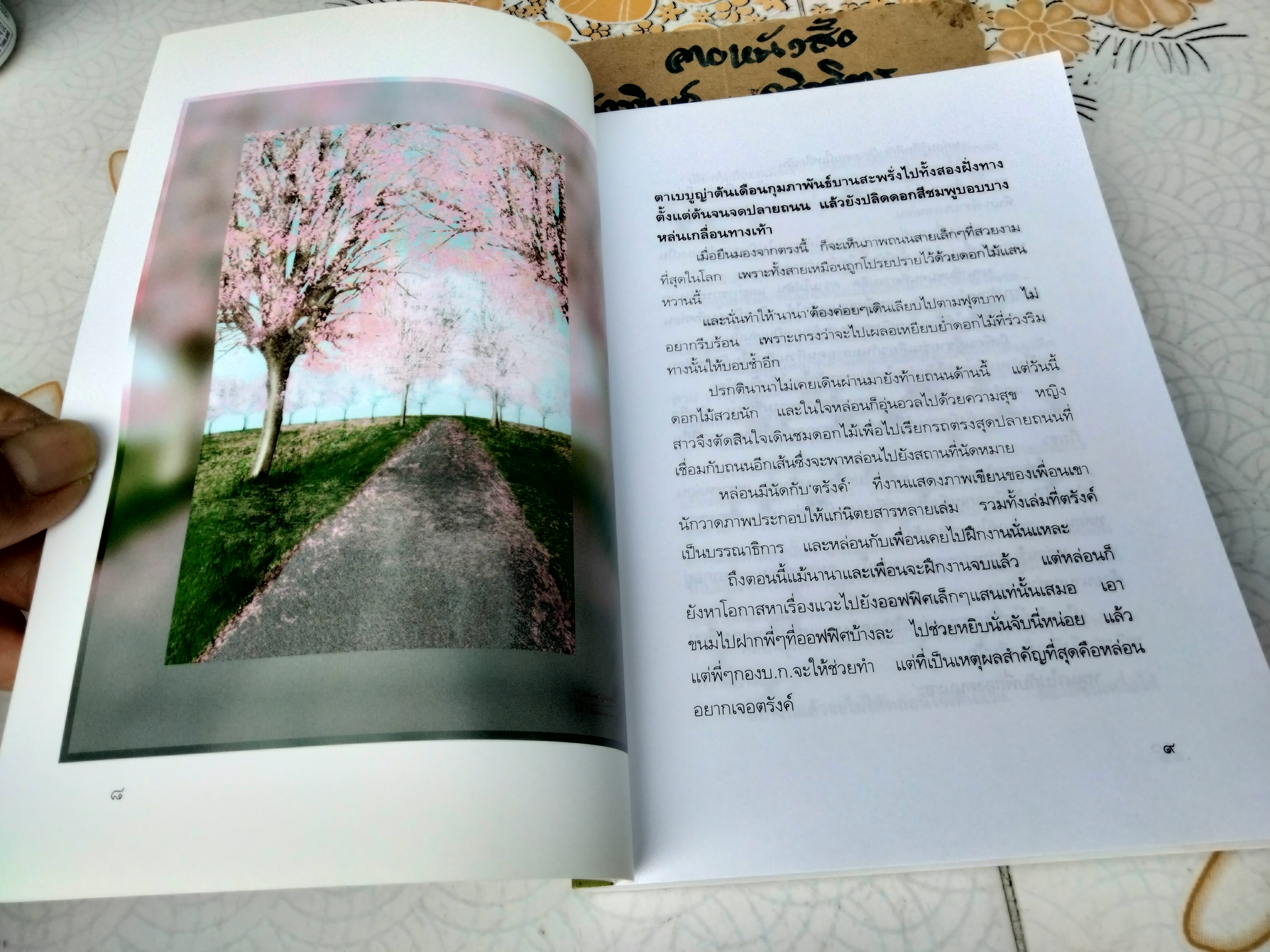 ดอกไม้เปลี่ยนสี โดย มน. มีนา (ฉันทลักษณ์ รักษาอยู่)