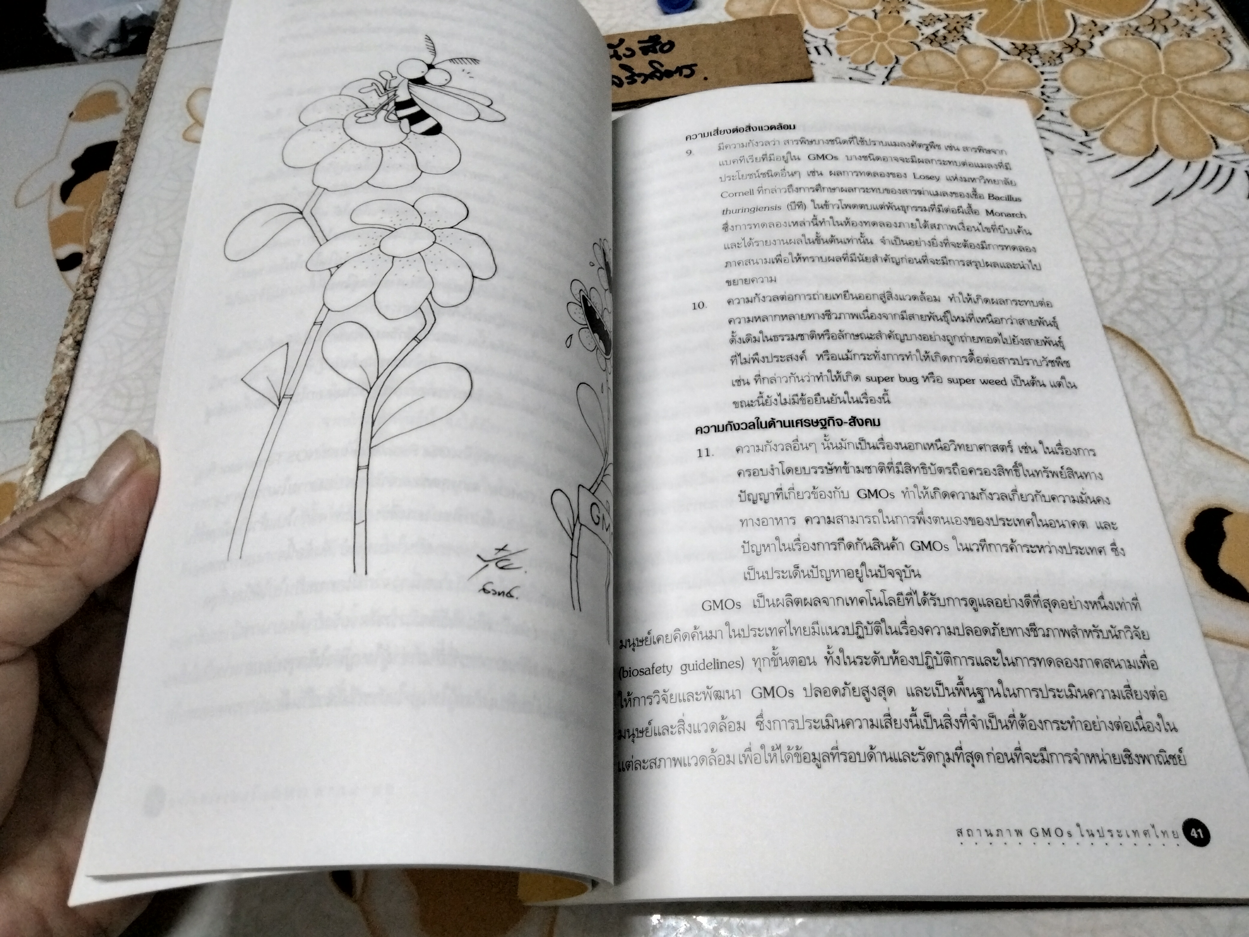 GMOs มหัศจรรย์หรือมหันตภัยของสหัสวรรษ โดย มูลนิธิบัณฑิตยสภาวิทยาศาสตร์และเทคโนโลยีแห่งประเทศไทย พิมพ์ครั้งแรกพ.ศ 2543