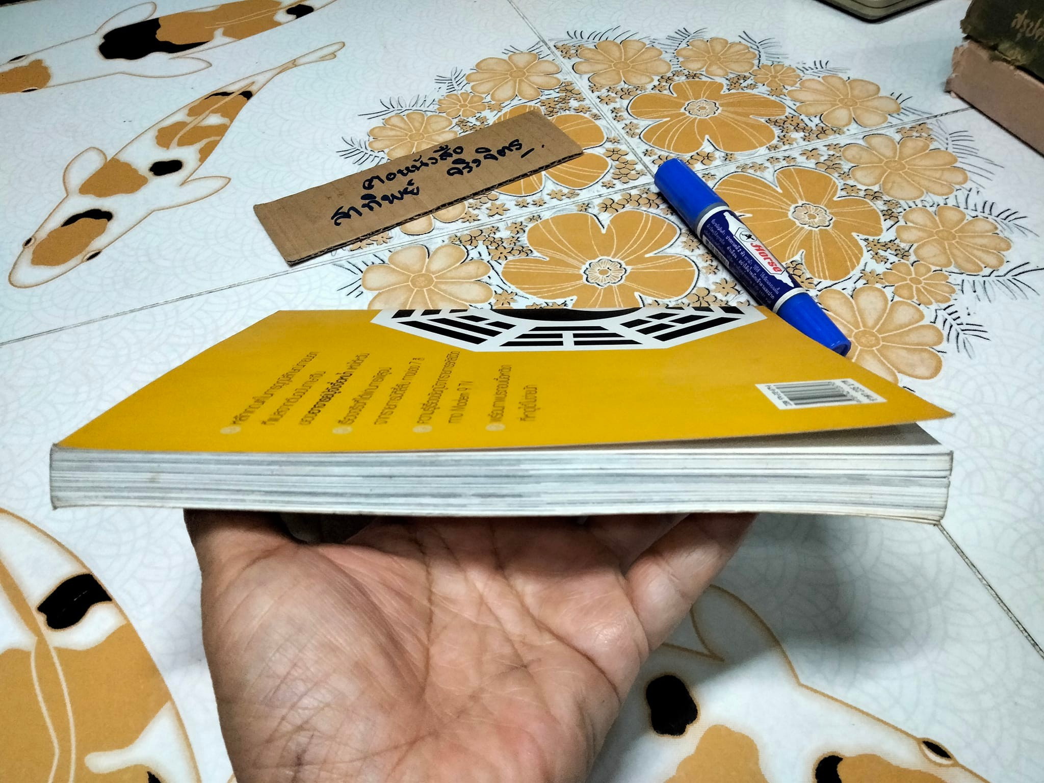 มหัศจรรย์ ฮวงจุ้ย โดย ซินแส ภาณุวัฒน์ พันธุ์วิชาติกุล **สินค้าหมด**