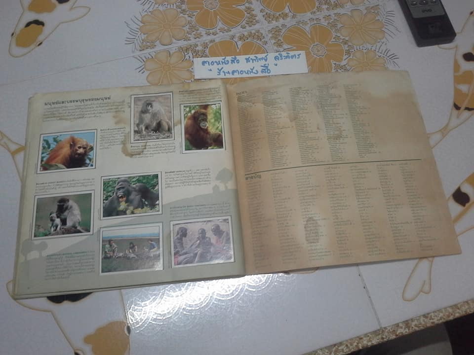 สมุดสะสมสติกเกอร์ ชีวิตสัตว์โลก - แปะครบ (ตัวเล่มมีคราบน้ำ มุมบนมีรอยยับ) **สินค้าหมด**