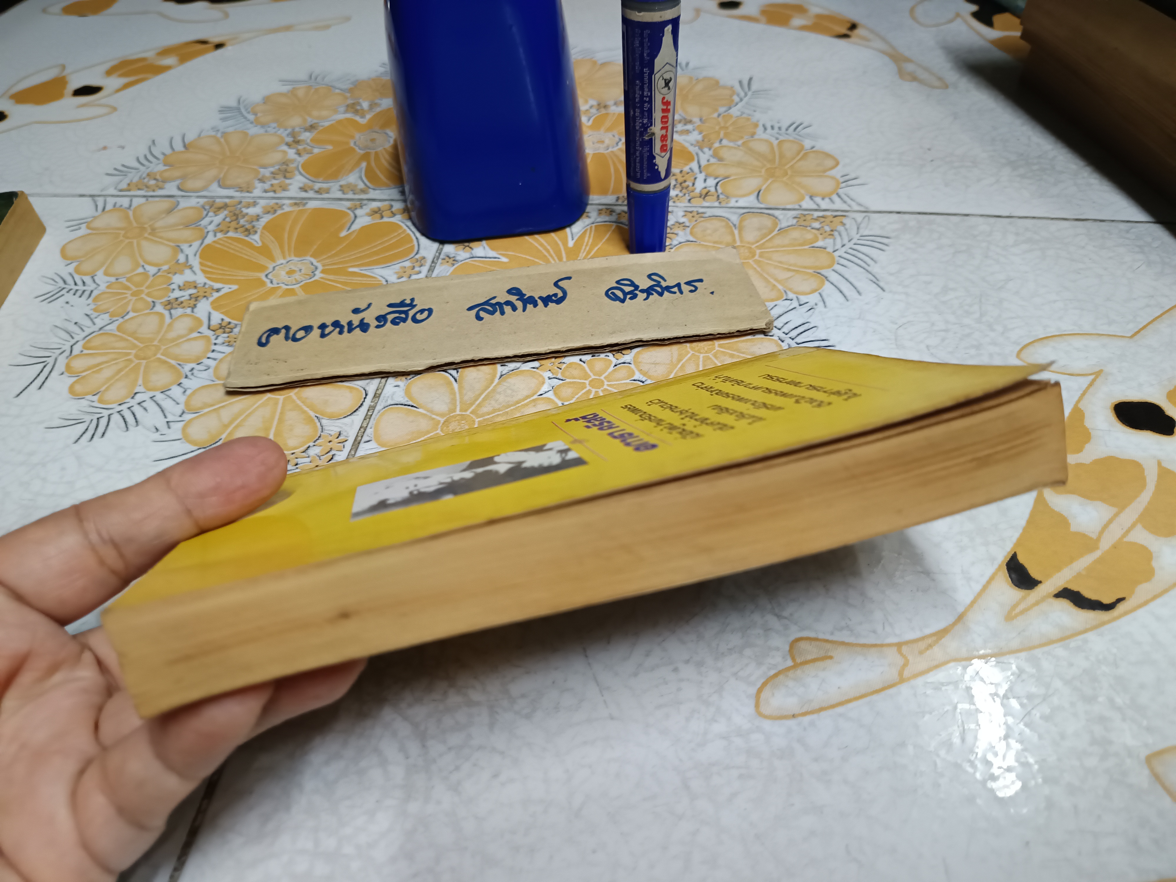 ปัวโร ตอน เครื่องเพชรมหาภัย (Cat Among The Pigeons) อกาธา คริสตี้ (Agatha Christie) เขียน / เปี่ยมสุข แปล