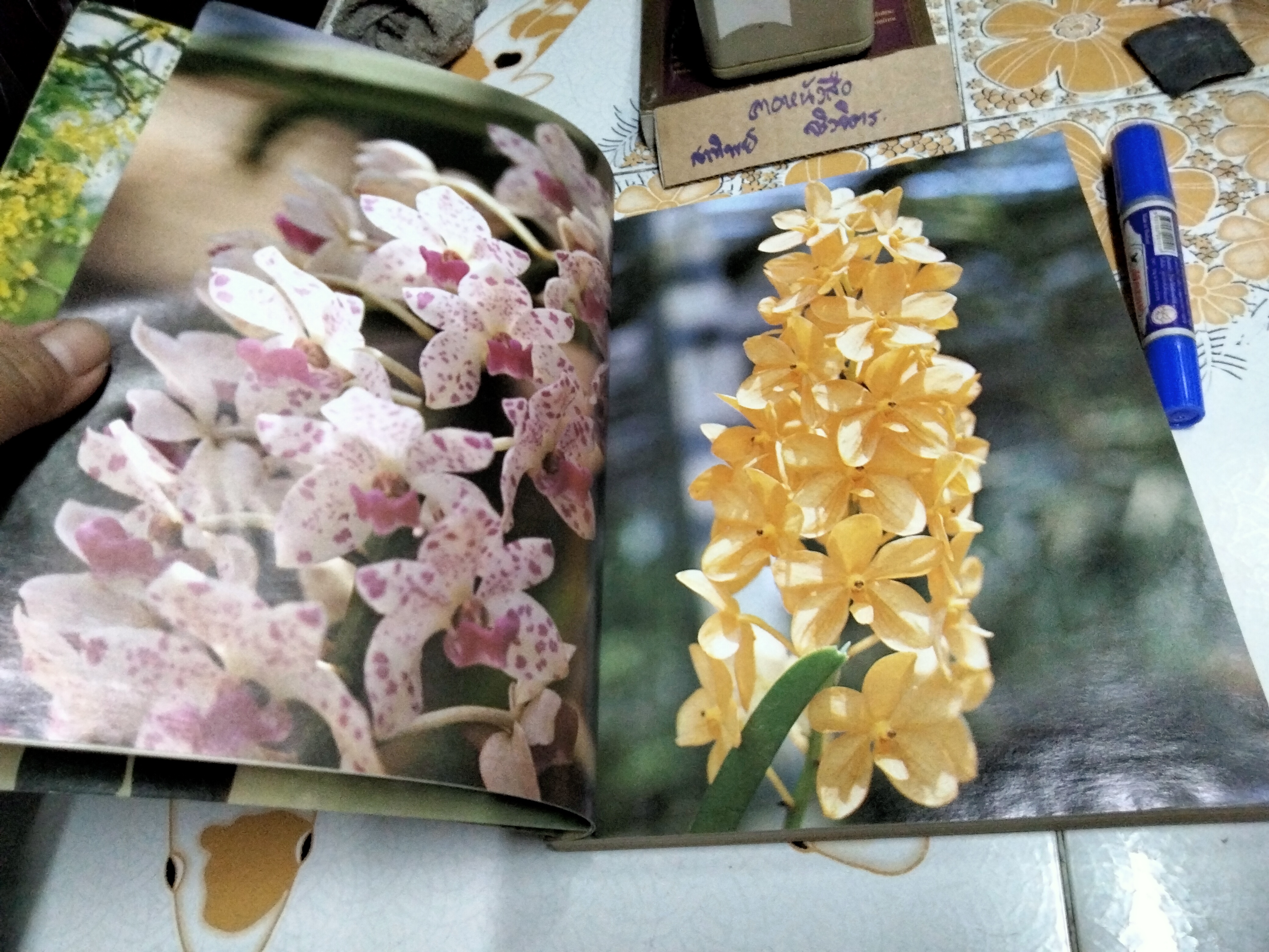 เพียงข้าวเมล็ดเดียว โดย ศาสตราจารย์ ระพี สาคริก พิมพ์ พ.ศ.2525 **สินค้าหมด**