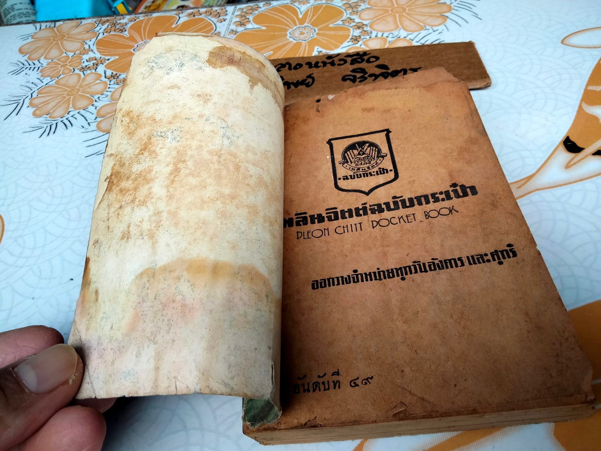 ชาตาชีวิต - เพลินพิศ เลิศยานันท์ , เพลินจิตต์ฉบับกระเป๋า ลำดับที่ 49