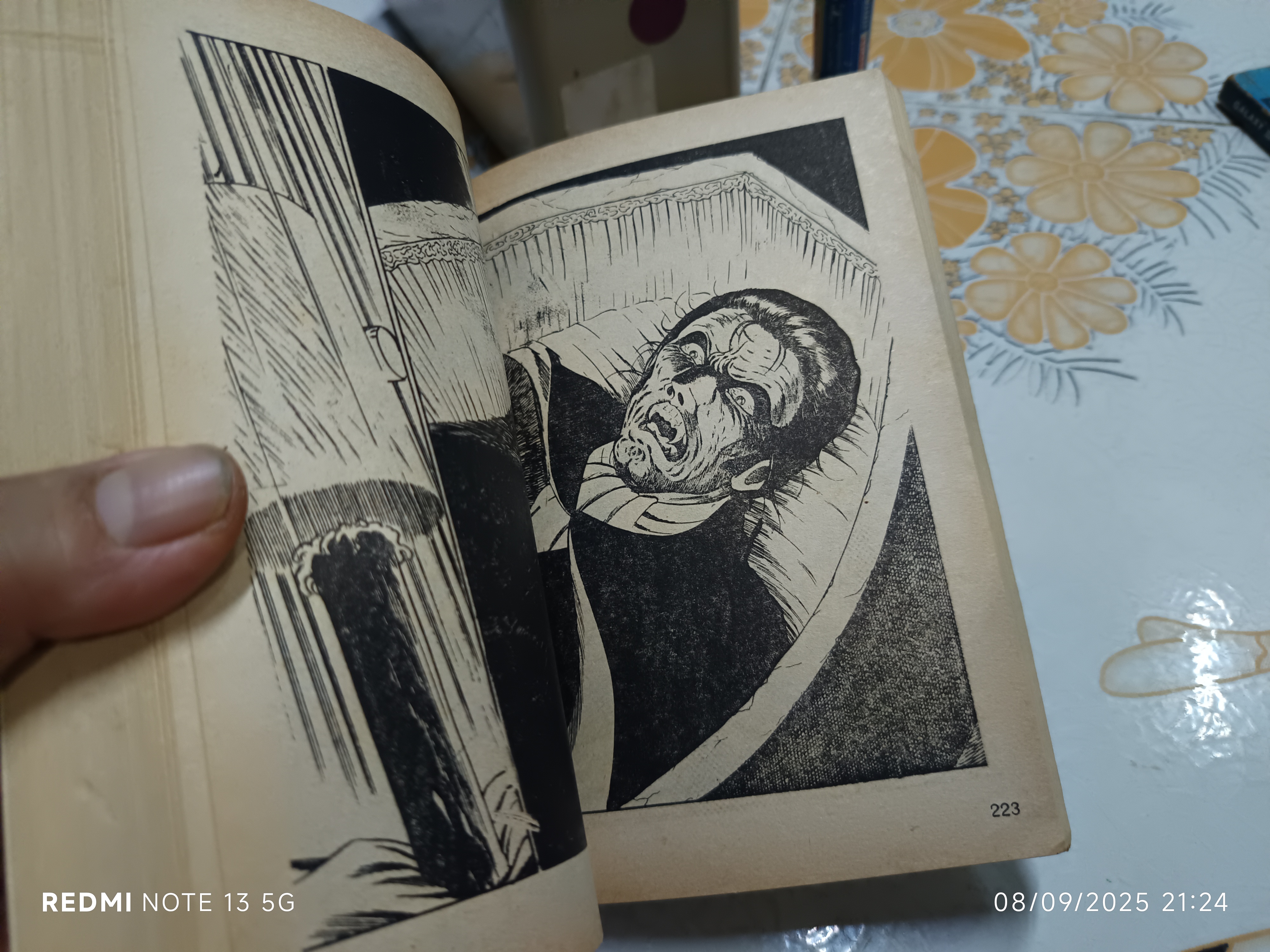 แดร็กคิวล่าคืนชีพ (เล่มเดียวจบ) สนพ.มิตรไมตรี **ด้านในมีเรื่องอื่นประกอบ