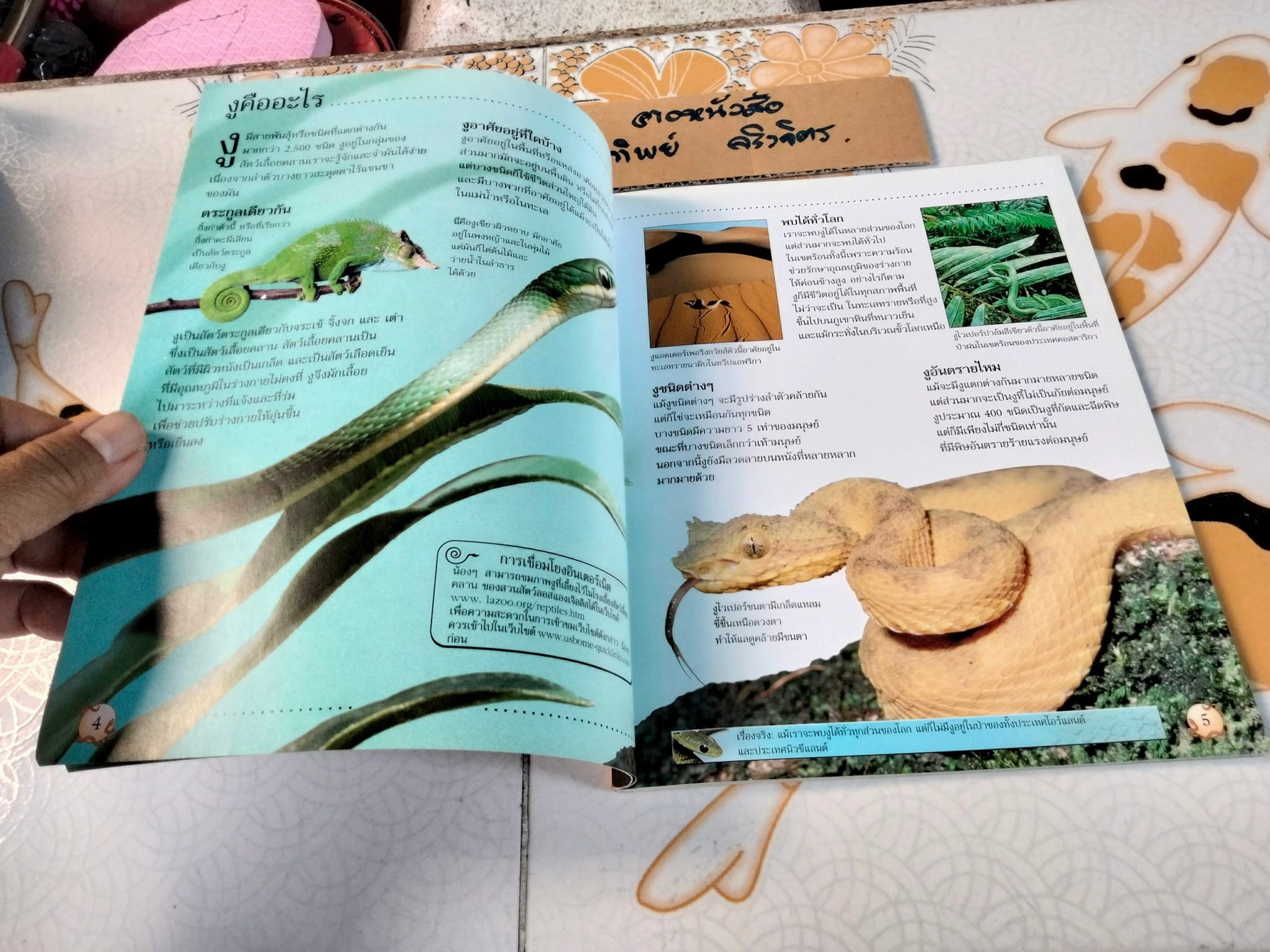 โลกของงู - Rachel Firth and Jonathan Sheikh-Miller. เขียน ,จริยา กีรติวุฒิ แปล **สินค้าหมด**