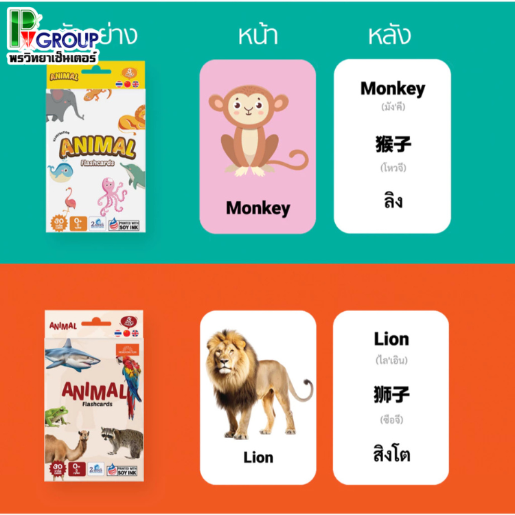 Mornington Flashcard ชุดแฟลชการ์ด การ์ดคำศัพท์ บัตรคำ 3 ภาษา/กล่อง