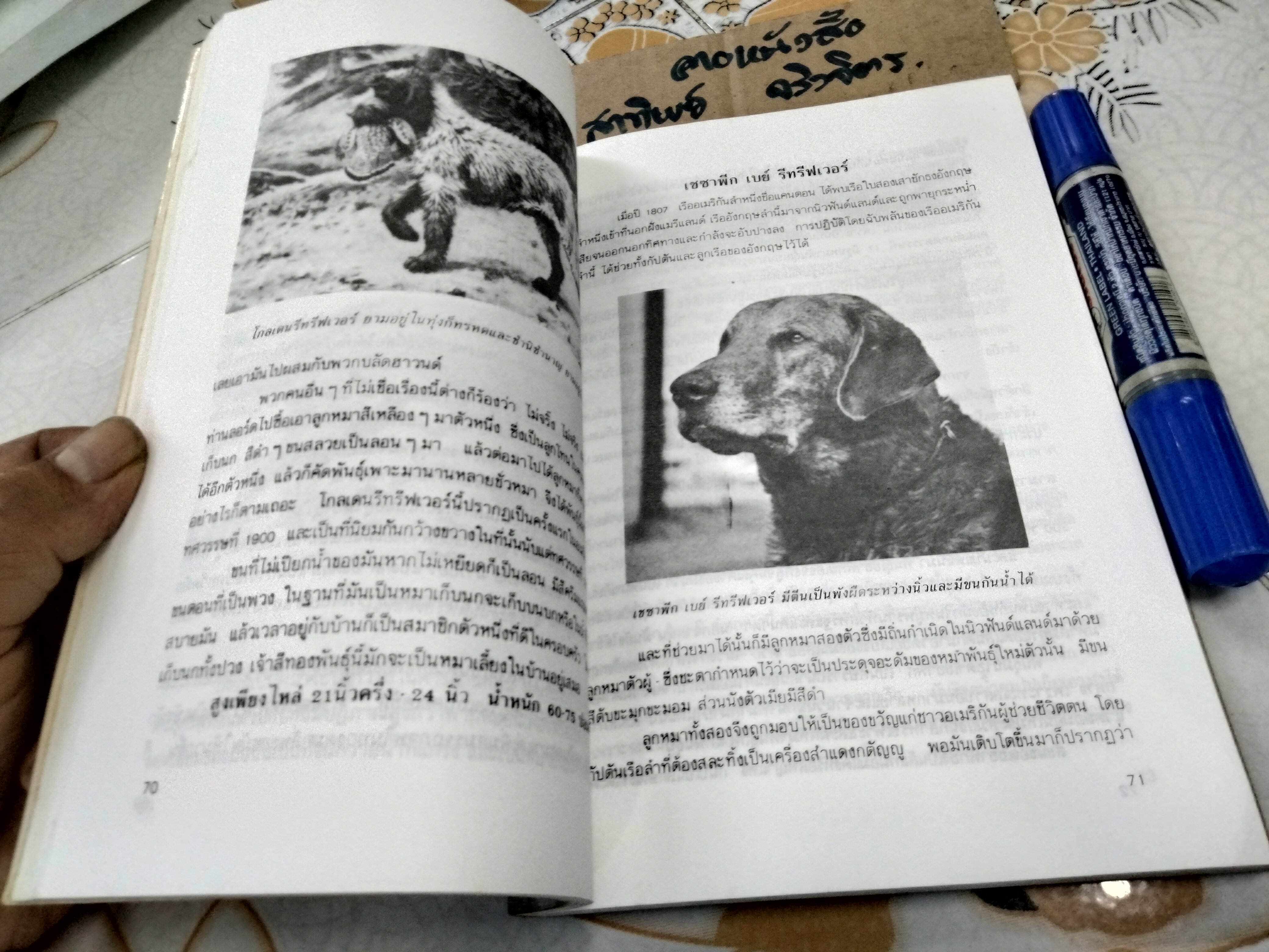 หมา...สัตว์เลี้ยงแสนรัก โดย จําเนียร เหมะรัต , พิมพ์ครั้งแรก พ.ศ 2534