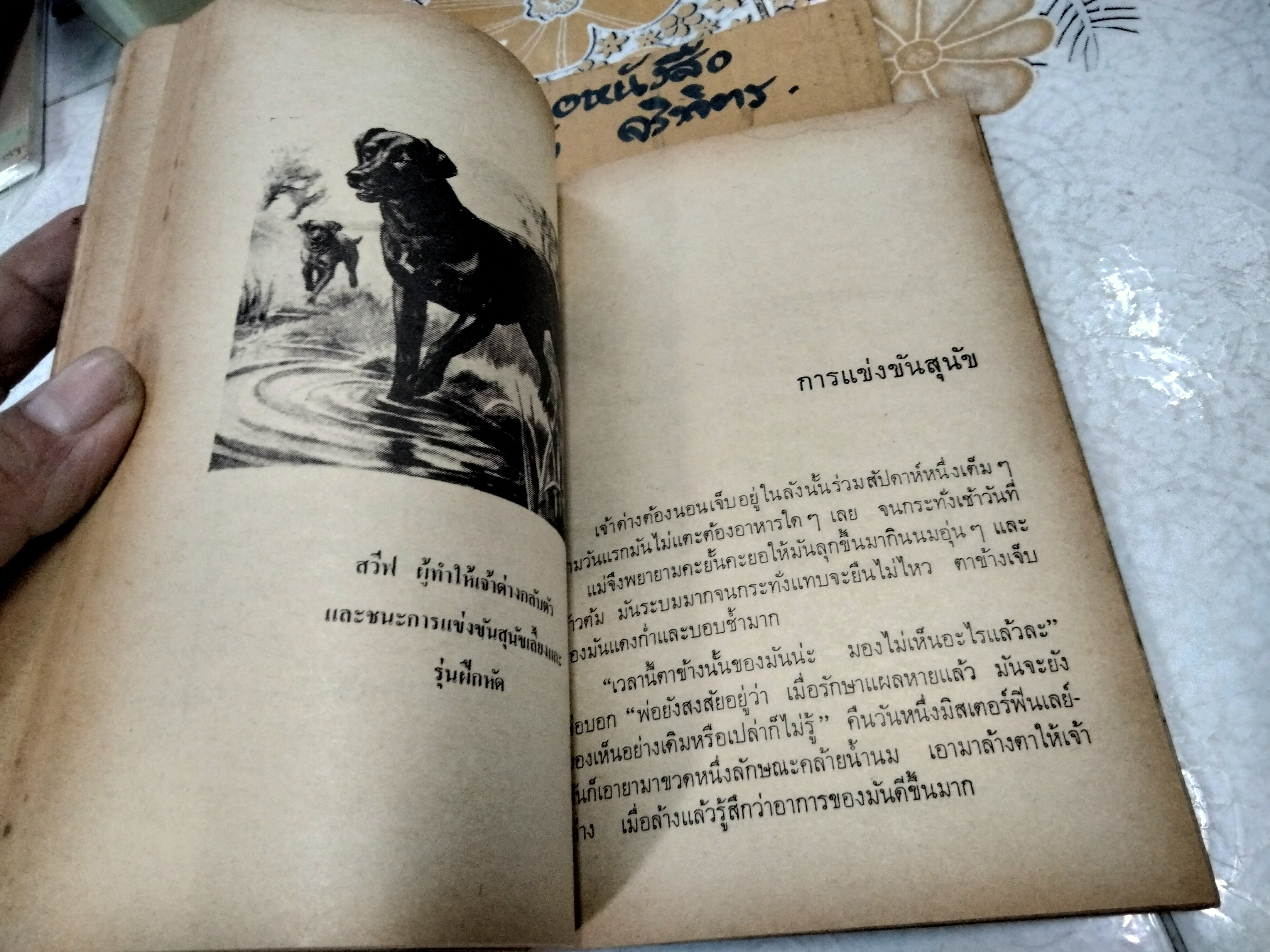 เจ้าด่าง - หนังสืออ่านสำหรับเยาวชนตามโครงการหนังสือเด็กของกองบรรณาธิการชัยพฤกษ์ ชุดที่ 6 อันดับ 1 พ.ศ 2520