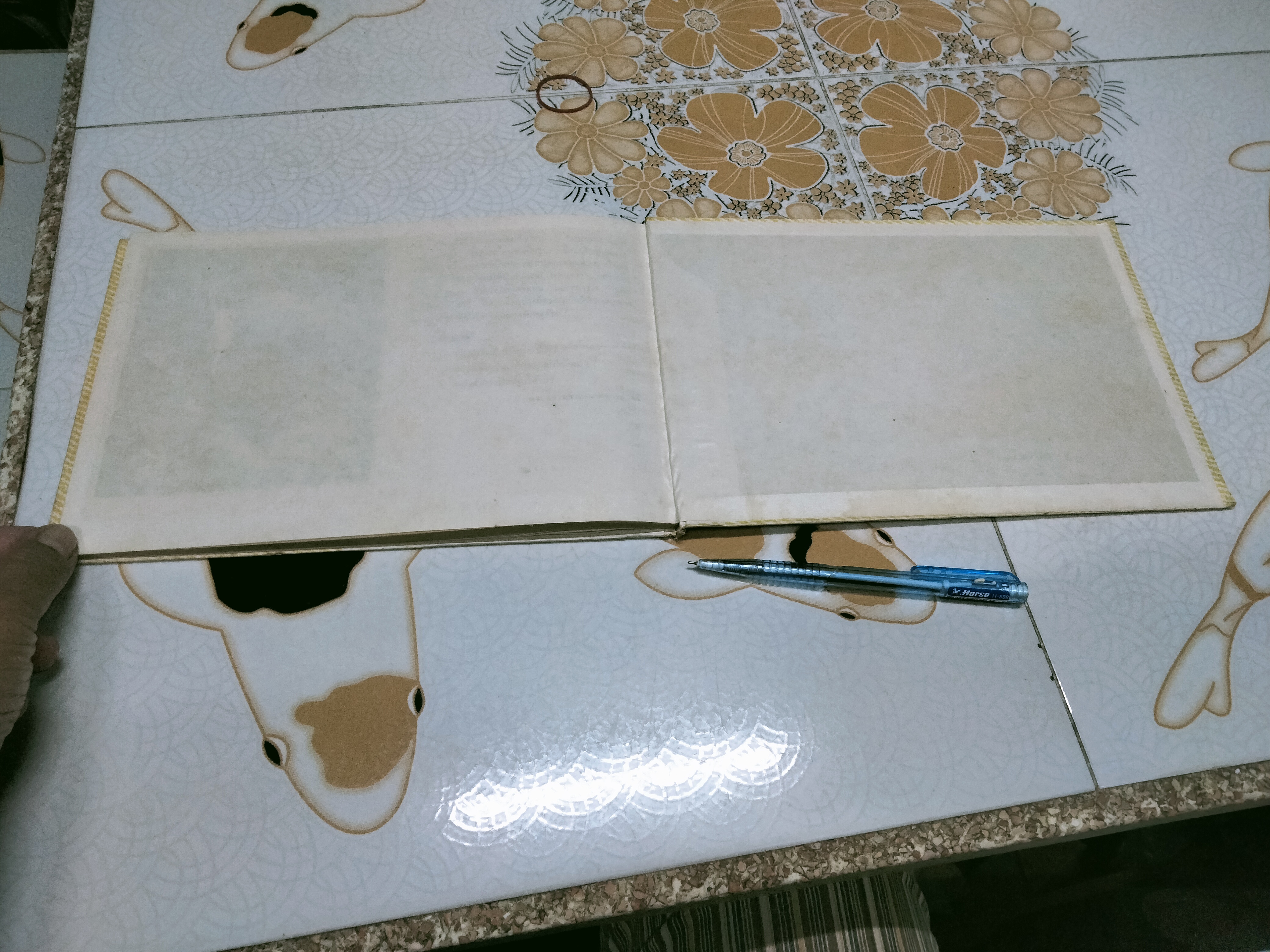 พระคัมภีร์สำหรับคุณหนู โดย ดร. เคนเนท เทเลอร์