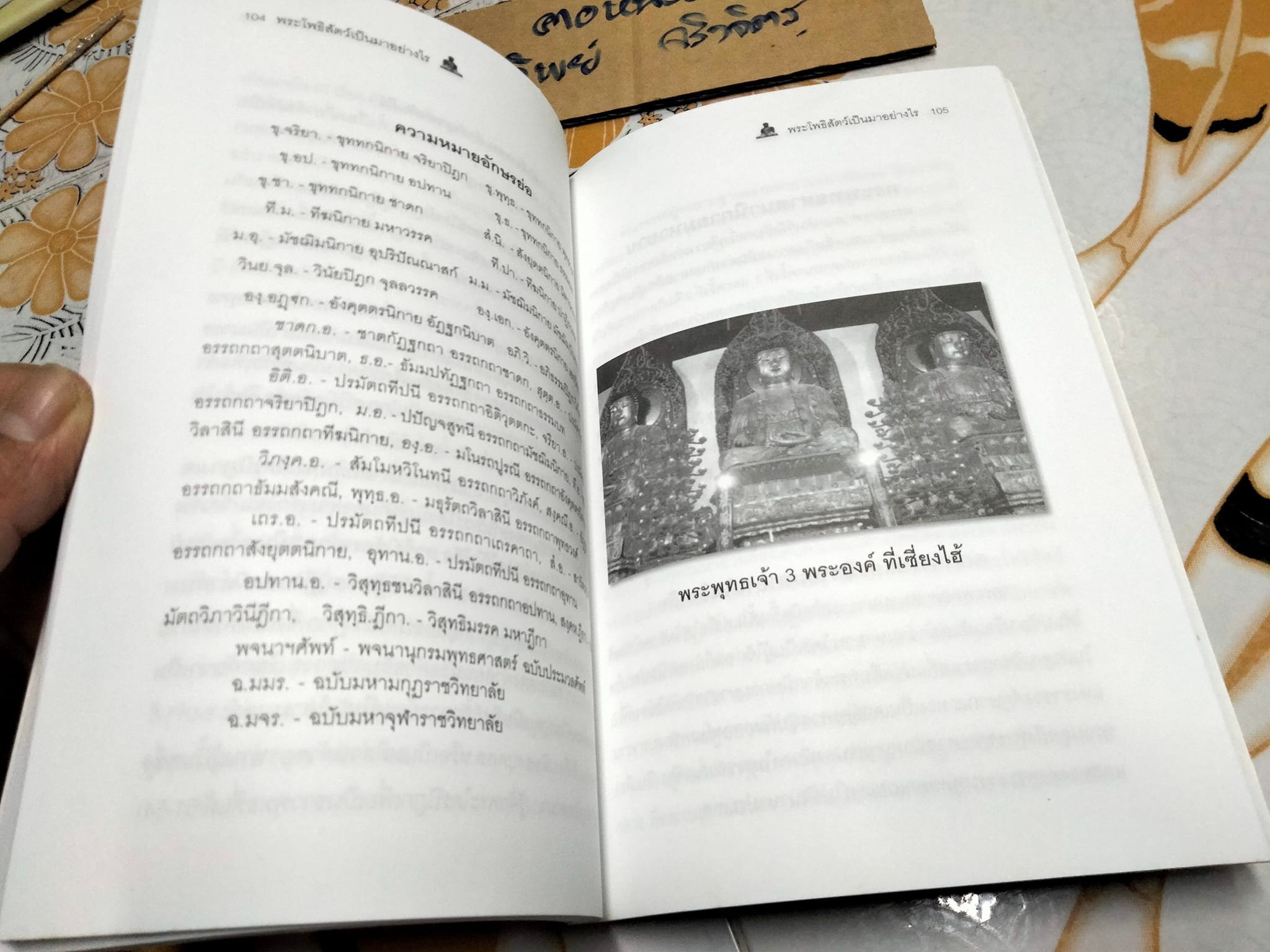 พระโพธิสัตว์เป็นมาอย่างไร โดย ปัญญา ใช้บางยาง - สำนักพิมพ์รติธรรม **สินค้าหมด**
