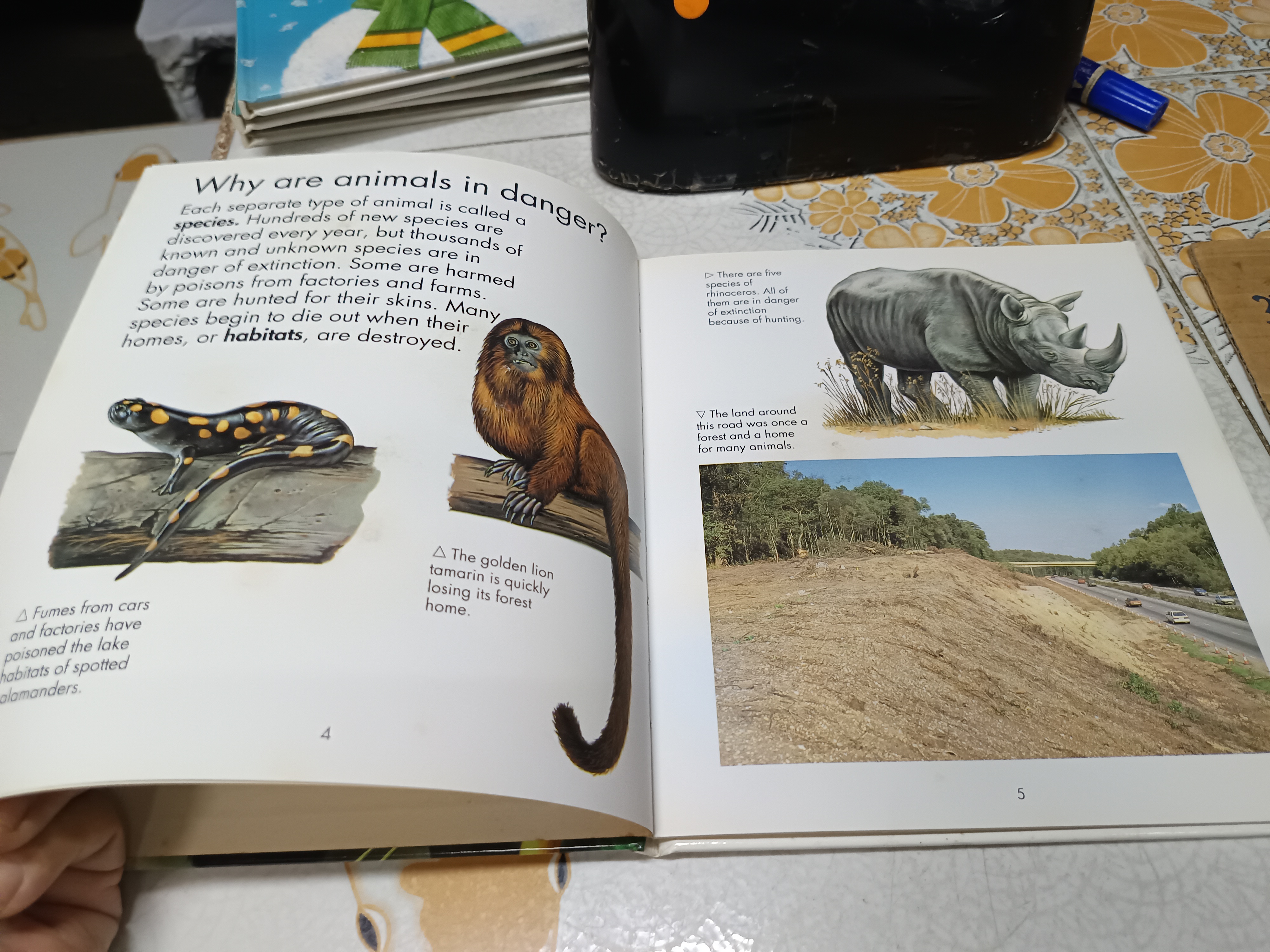 FIRST STARTS / WATTS BOOKS หนังสือภาพภาษาอังกฤษ ความรู้ (ปกแข็ง)