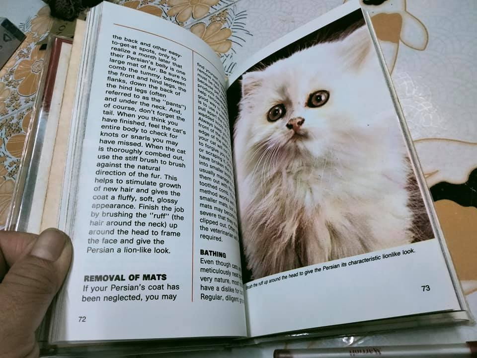 หนังสือ PERSIAN CATS BY EDWARD E.ESARDE **สินค้าหมด**