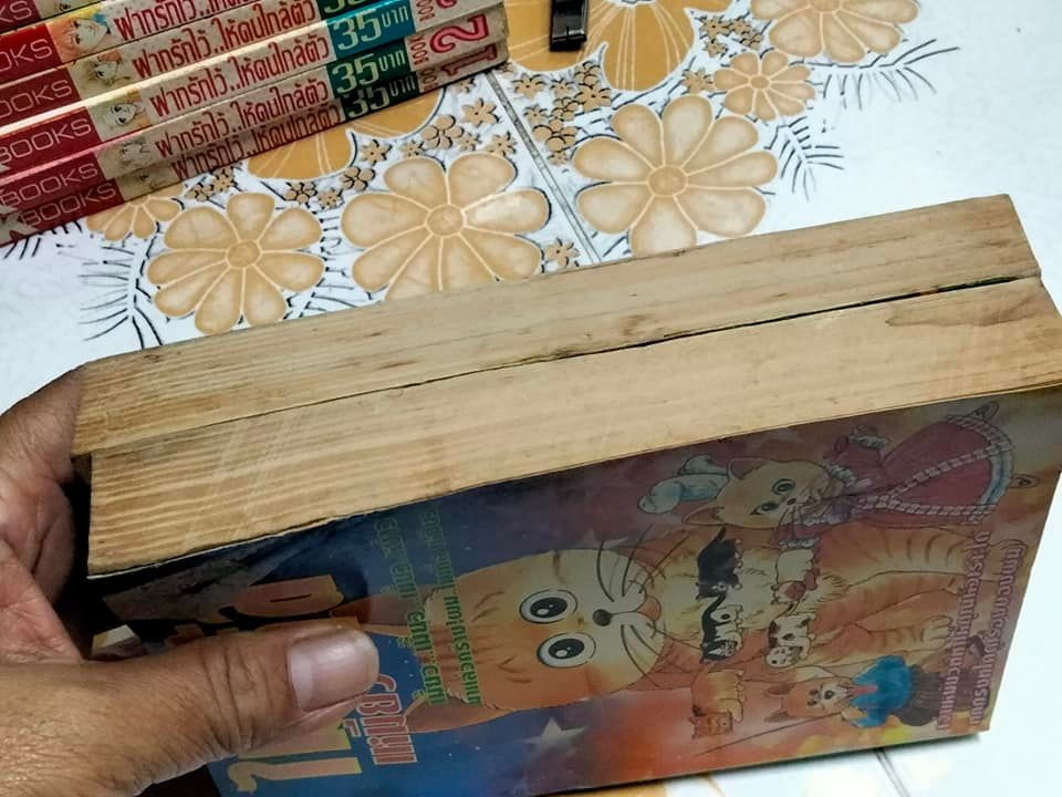 ไมเคิ้ลเหมียว (2 เล่มจบ) **สินค้าหมด**