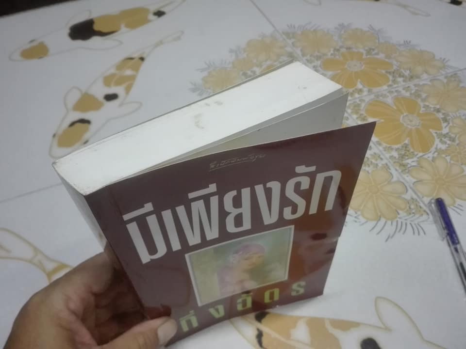 มีเพียงรัก (เล่มเดียวจบ) โดย กิ่งฉัตร