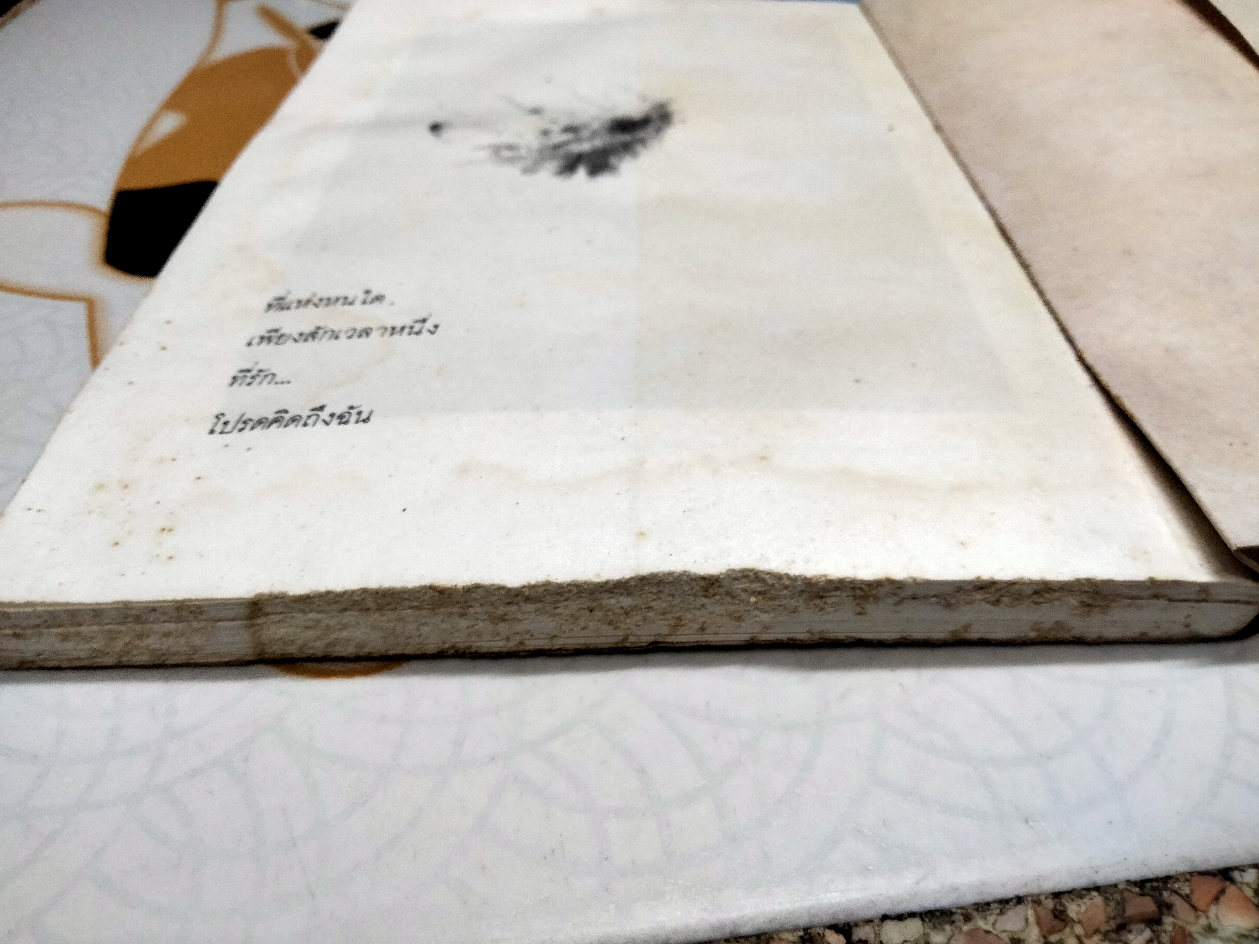 อันเป็นที่รัก โดย ปะการัง (มีคราบน้ำ) **สินค้าหมด**