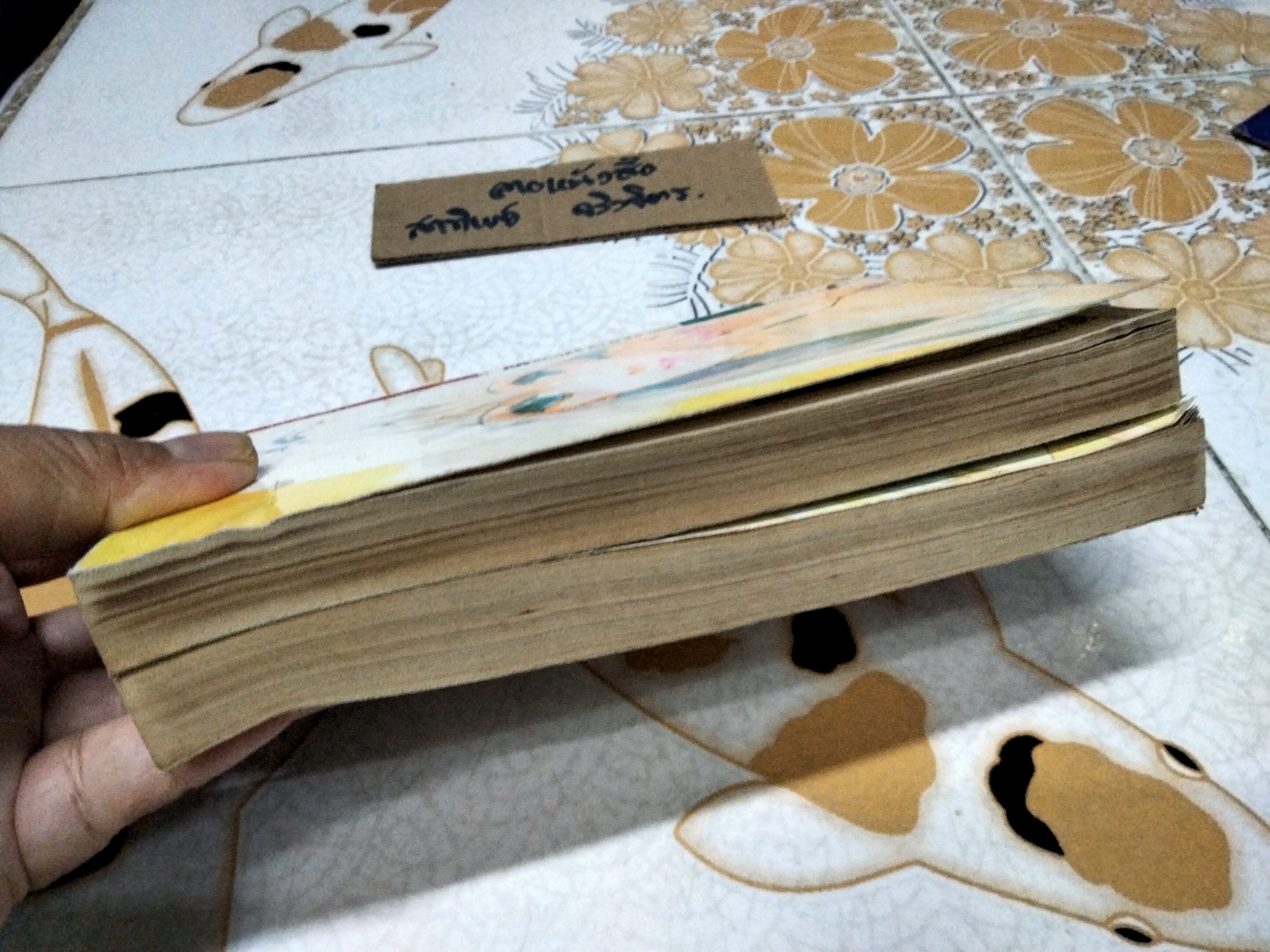 จุดหมายที่หัวใจกำหนด (2 เล่มจบ- KK Books) Fujita Kazuko