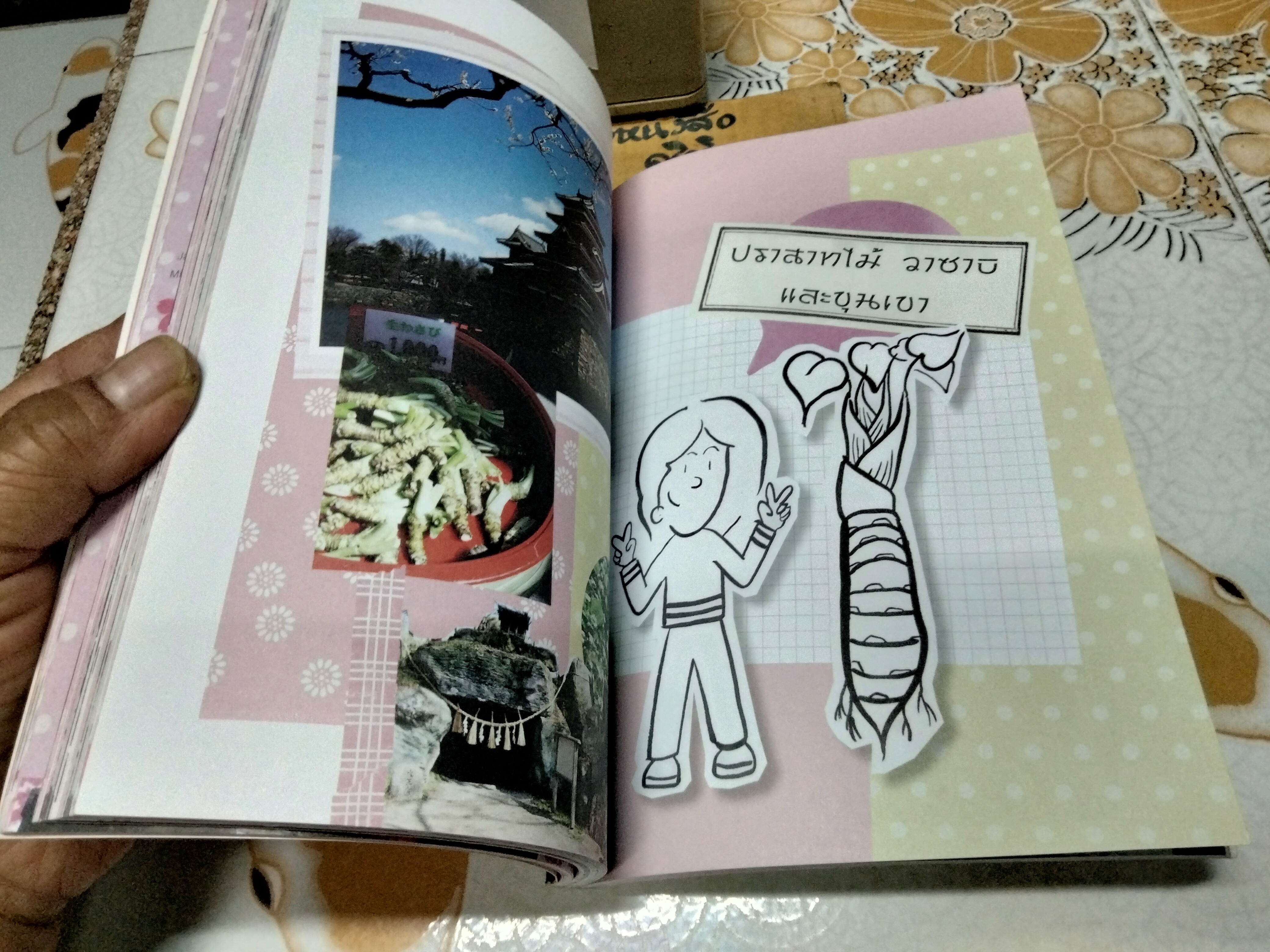 Japan Mission ตอนปฏิบัติการสีชมพู, ทิปิจัง - พิมพ์ครั้งแรก พ.ศ 2554