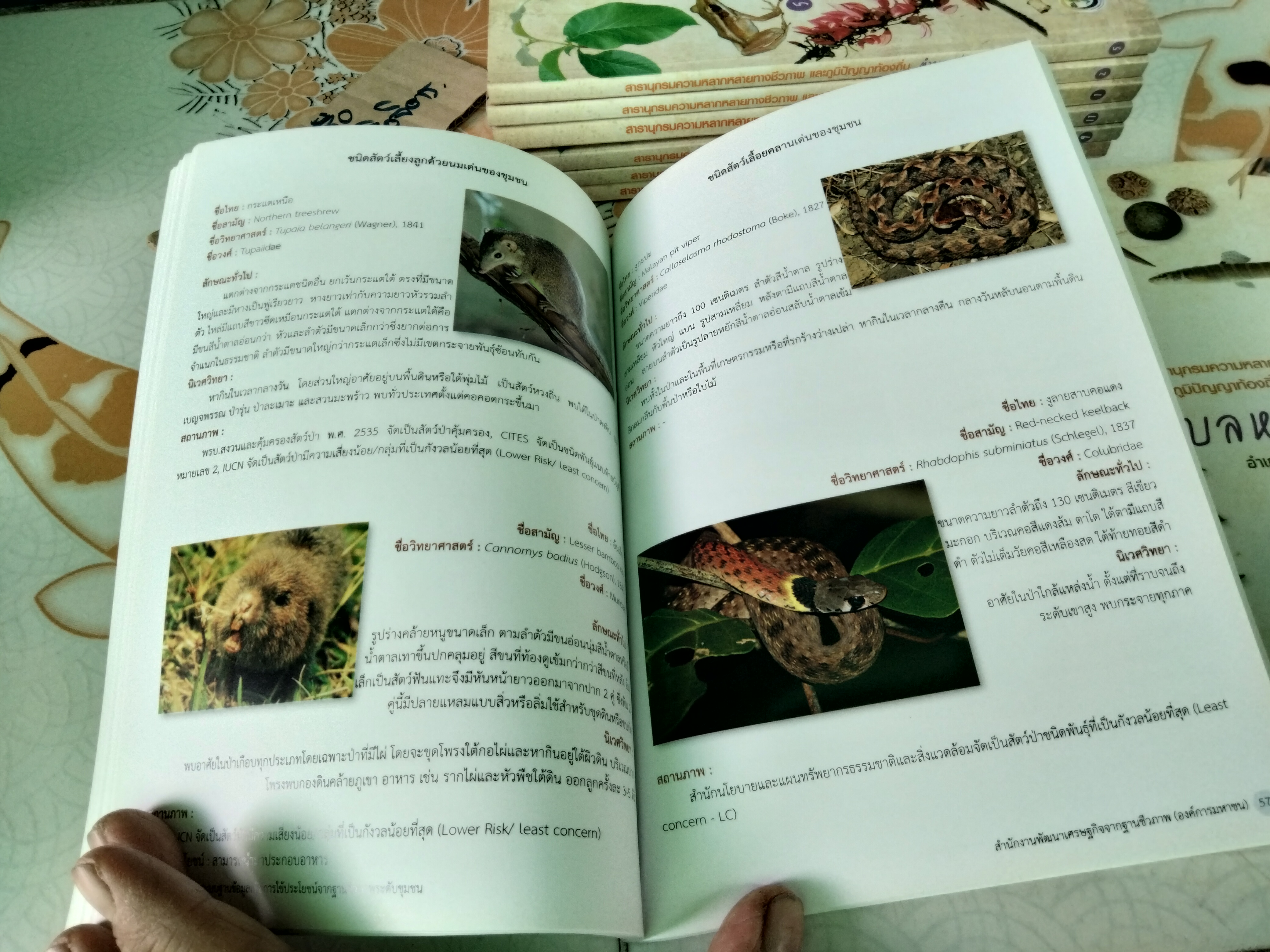 สารานุกรมความหลากหลายทางชีวภาพและภูมิปัญญาท้องถิ่น 20 ชุมชน (มีแค่ 8 เล่ม จาก 20 เล่ม/ชุด)