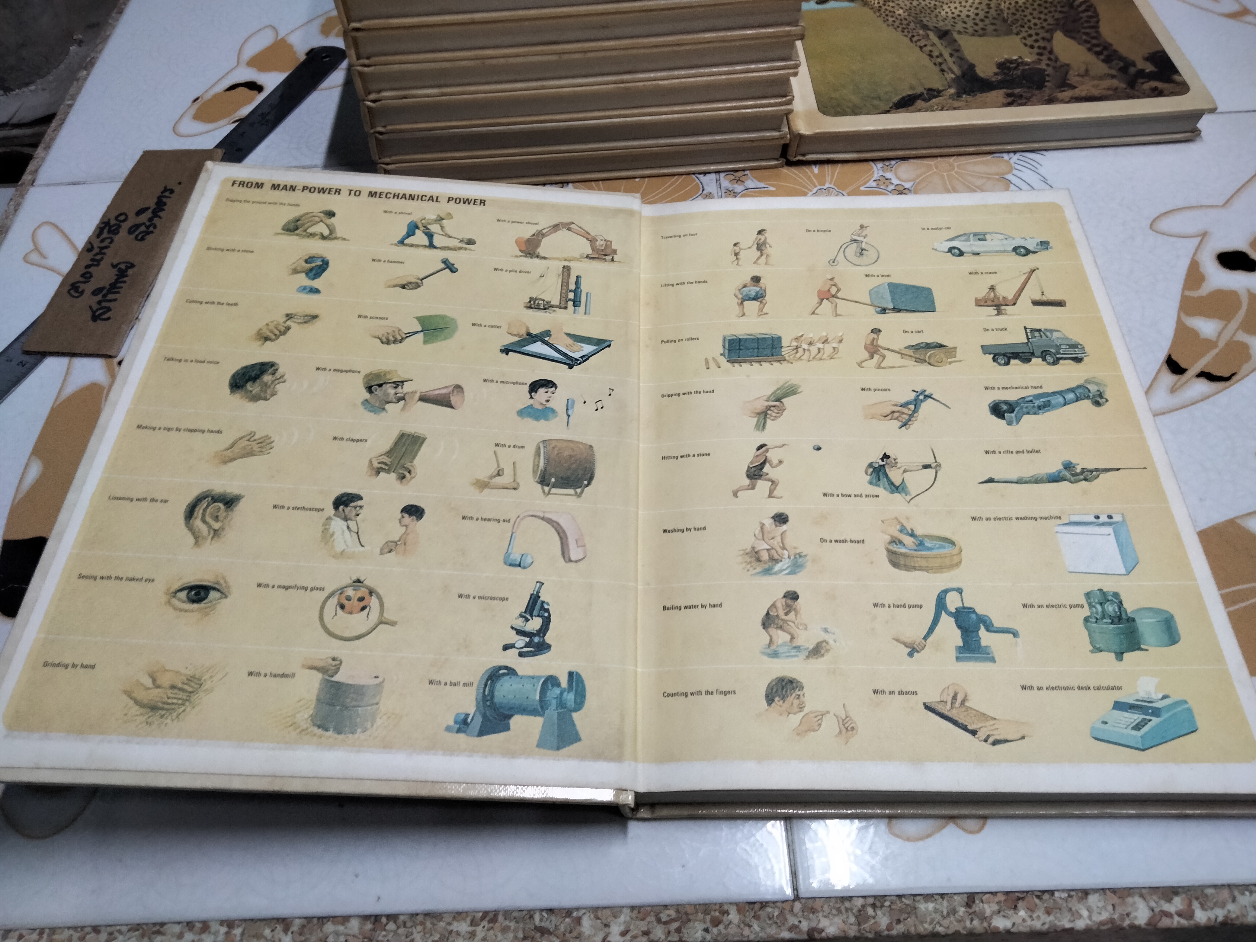 The Children's Treasurey of Knowledge (10 เล่มชุด)