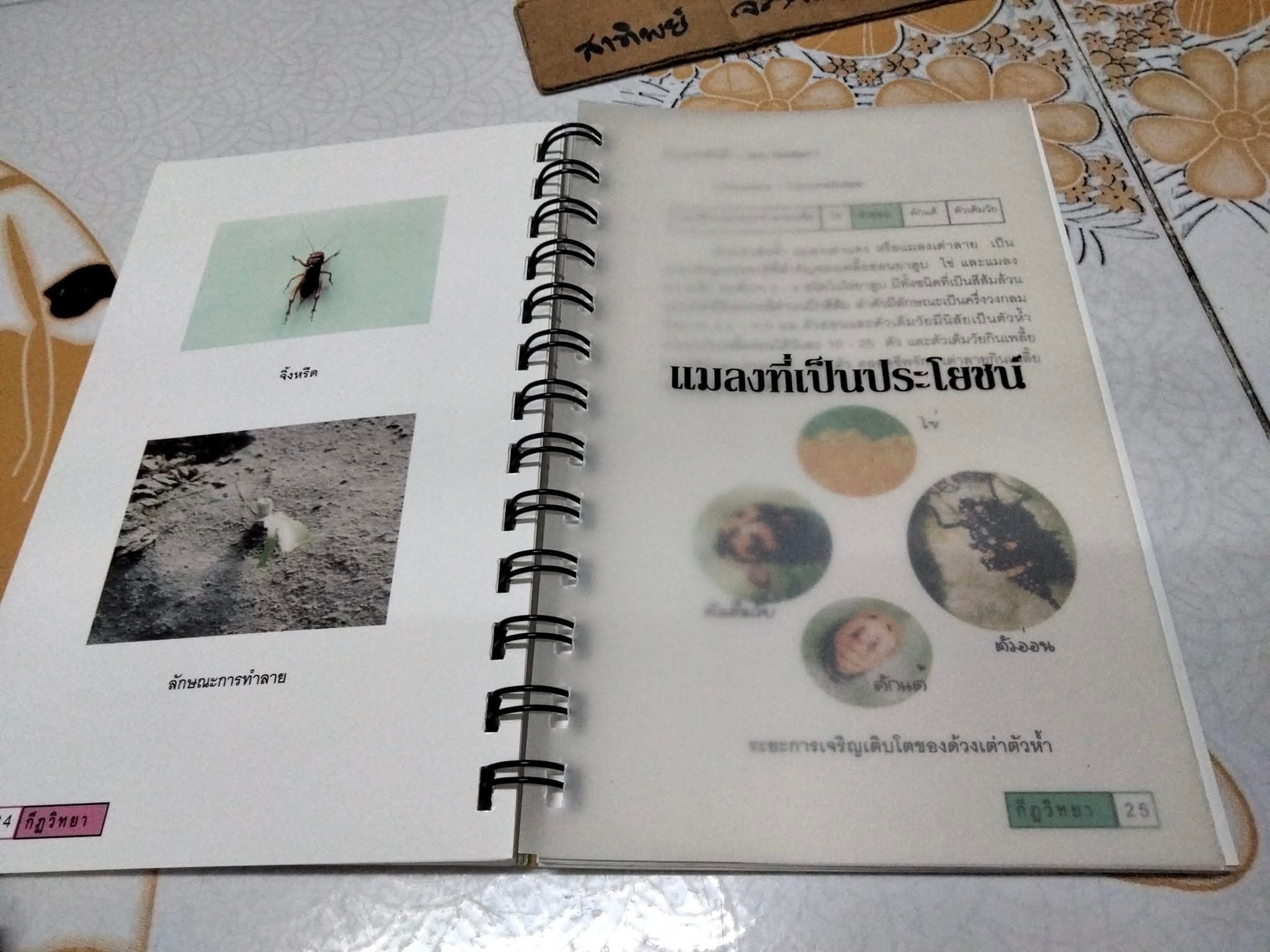 คู่มือ แมลงยาสูบ Tobacco Insect โดย กองกีฏวิทยา สถานีทดลองยาสูบแม่โจ้