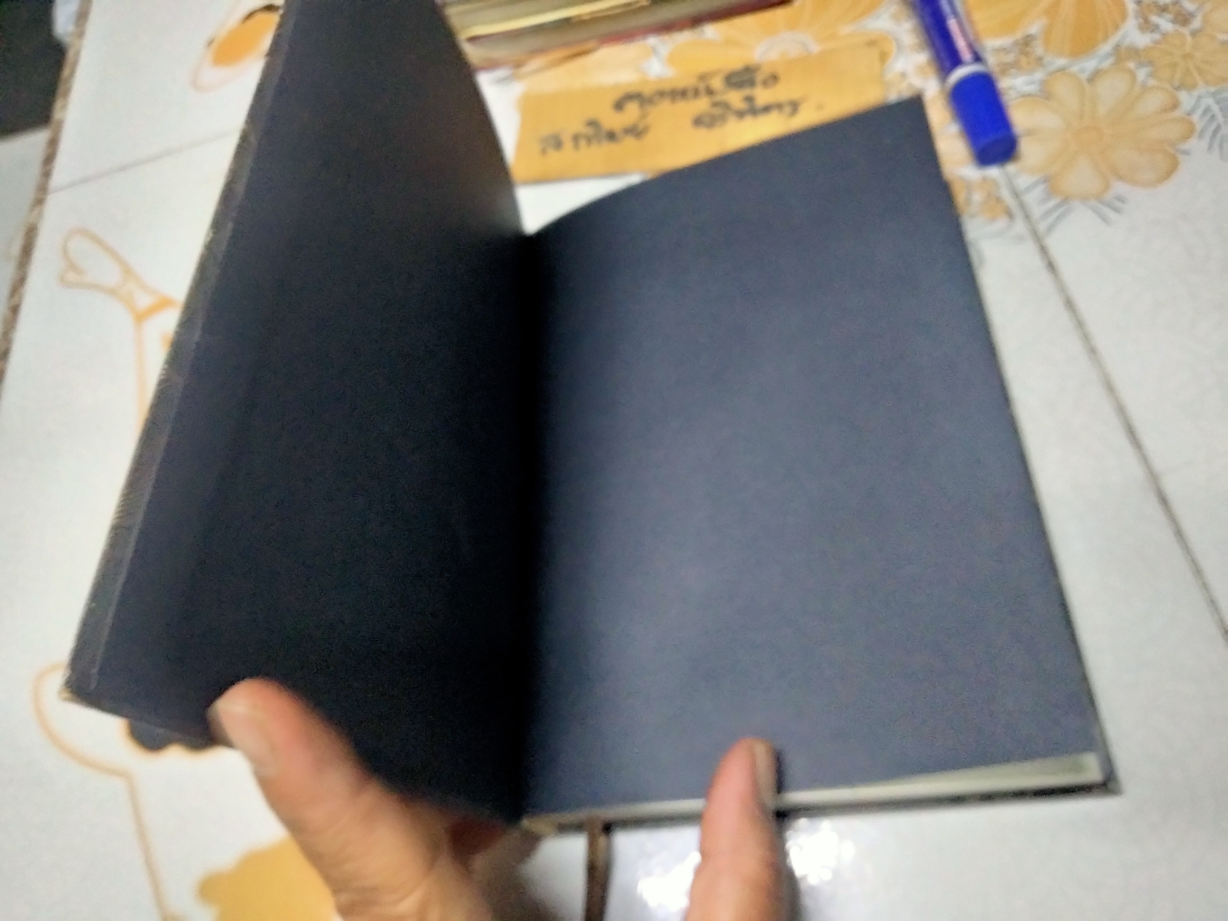 Beansprout & Firehead เล่ม I - In the Infinite Madness ในความบ้าคลั่งอันมิรู้สิ้นสุด