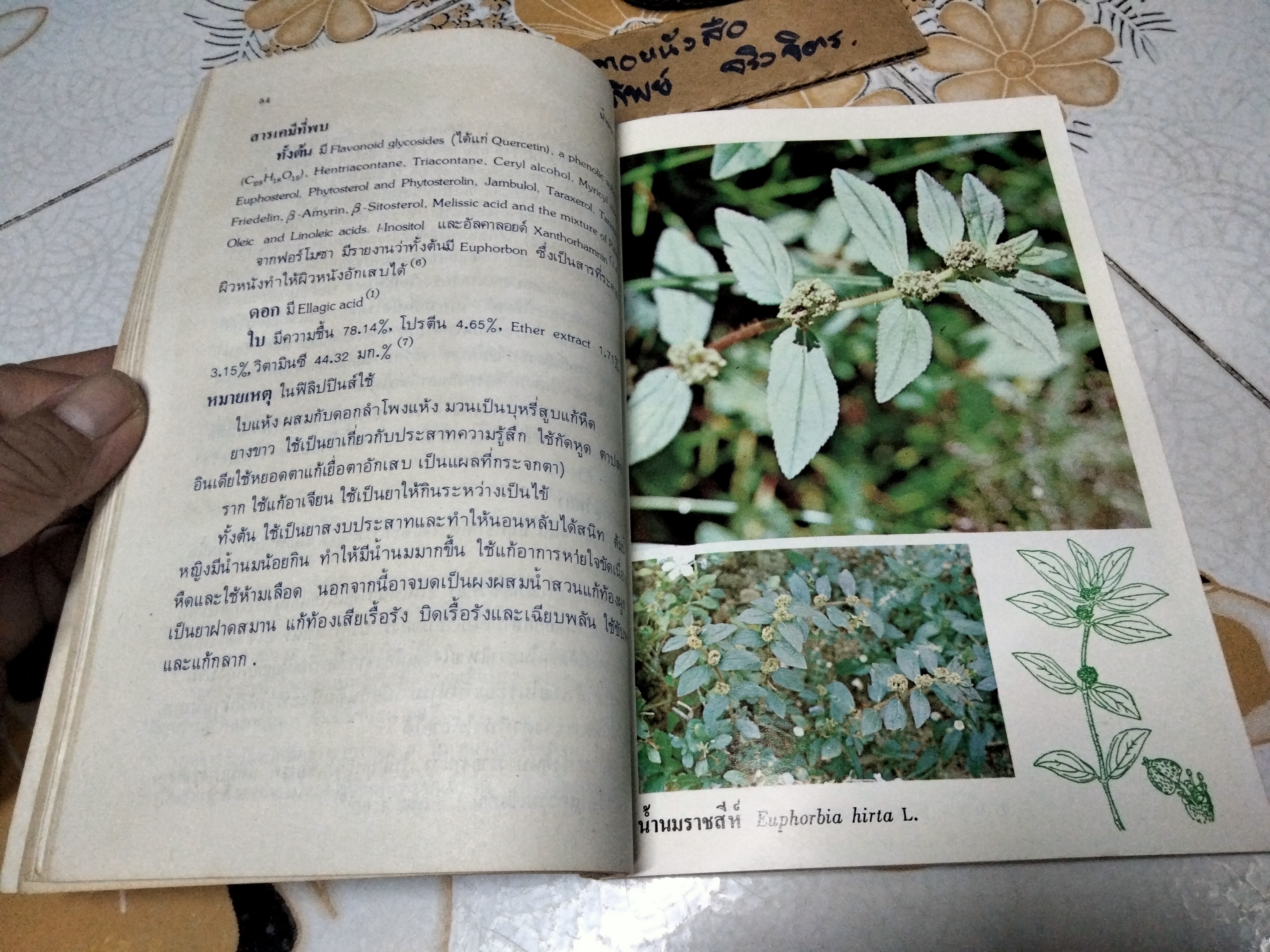 หนังสือ การใช้สมุนไพรเล่ม 1 โครงการพัฒนาเทคนิคการทำยาสมุนไพร ฉบับแก้ไข พ.ศ.2522