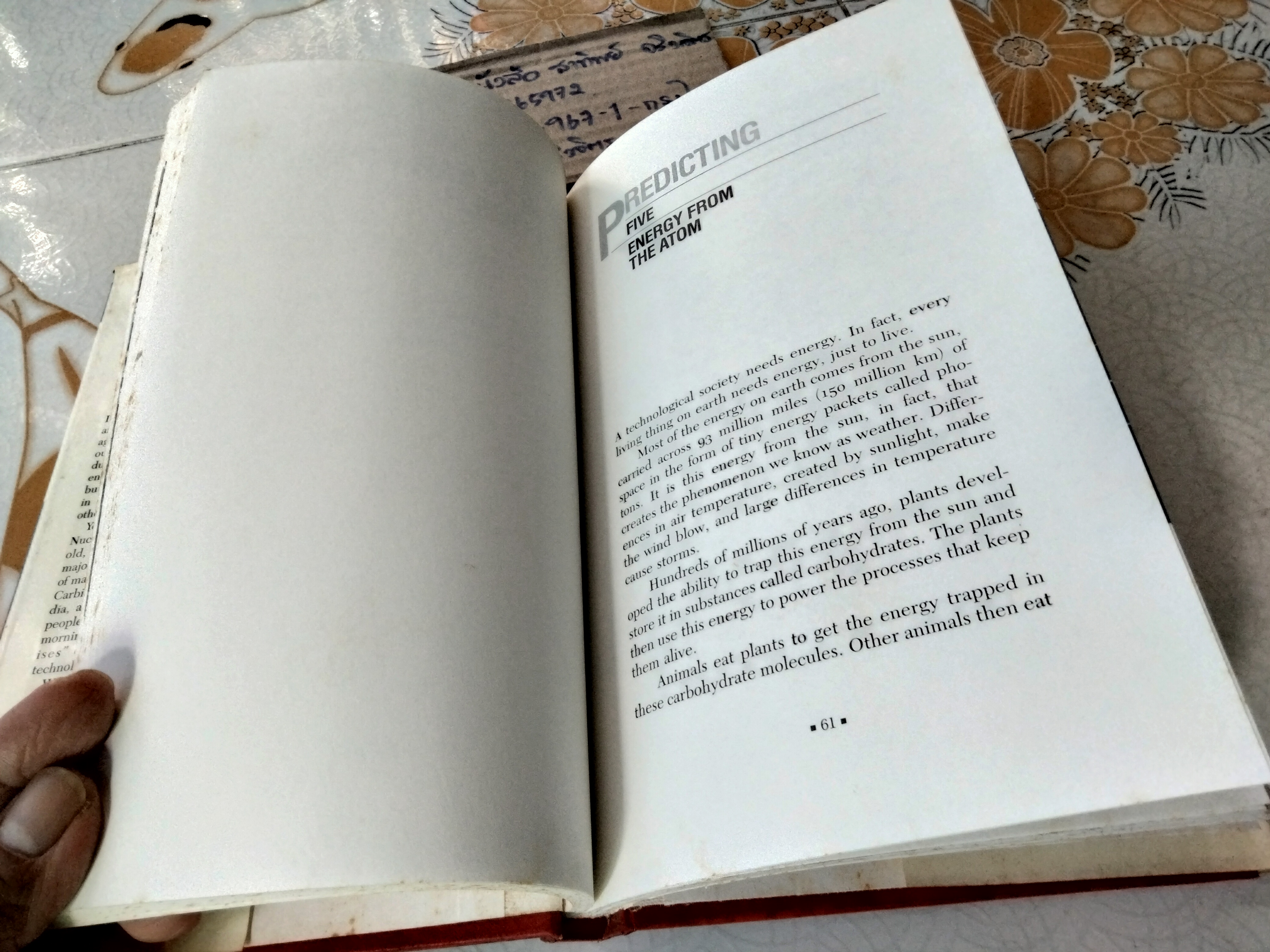 Predicting Nuclear and other Technological Disasters By CHRISTOPHER LAMPTON ,1989