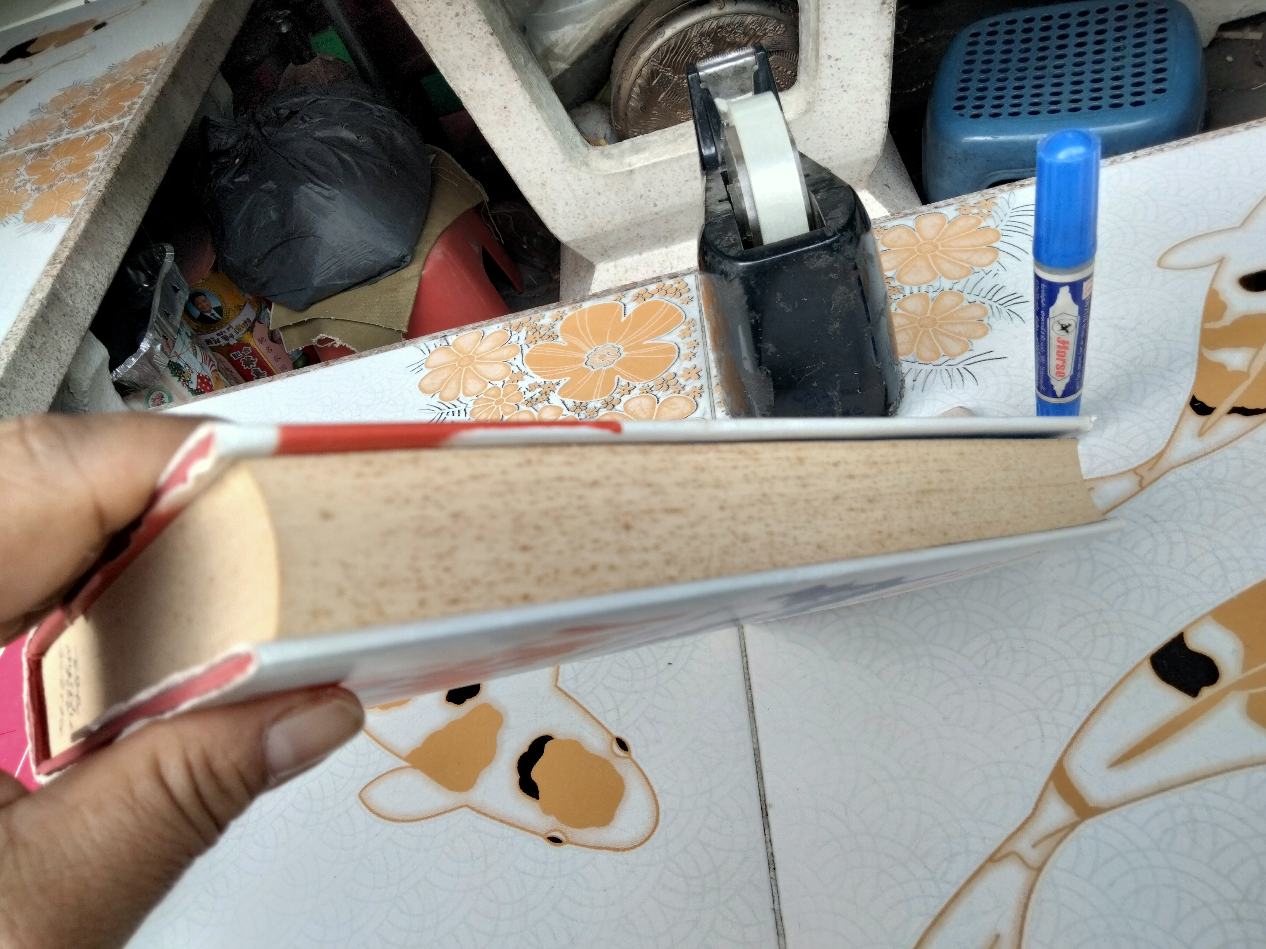 FAILED STATES, NOAM CHOMSKY (ปกแข็ง)