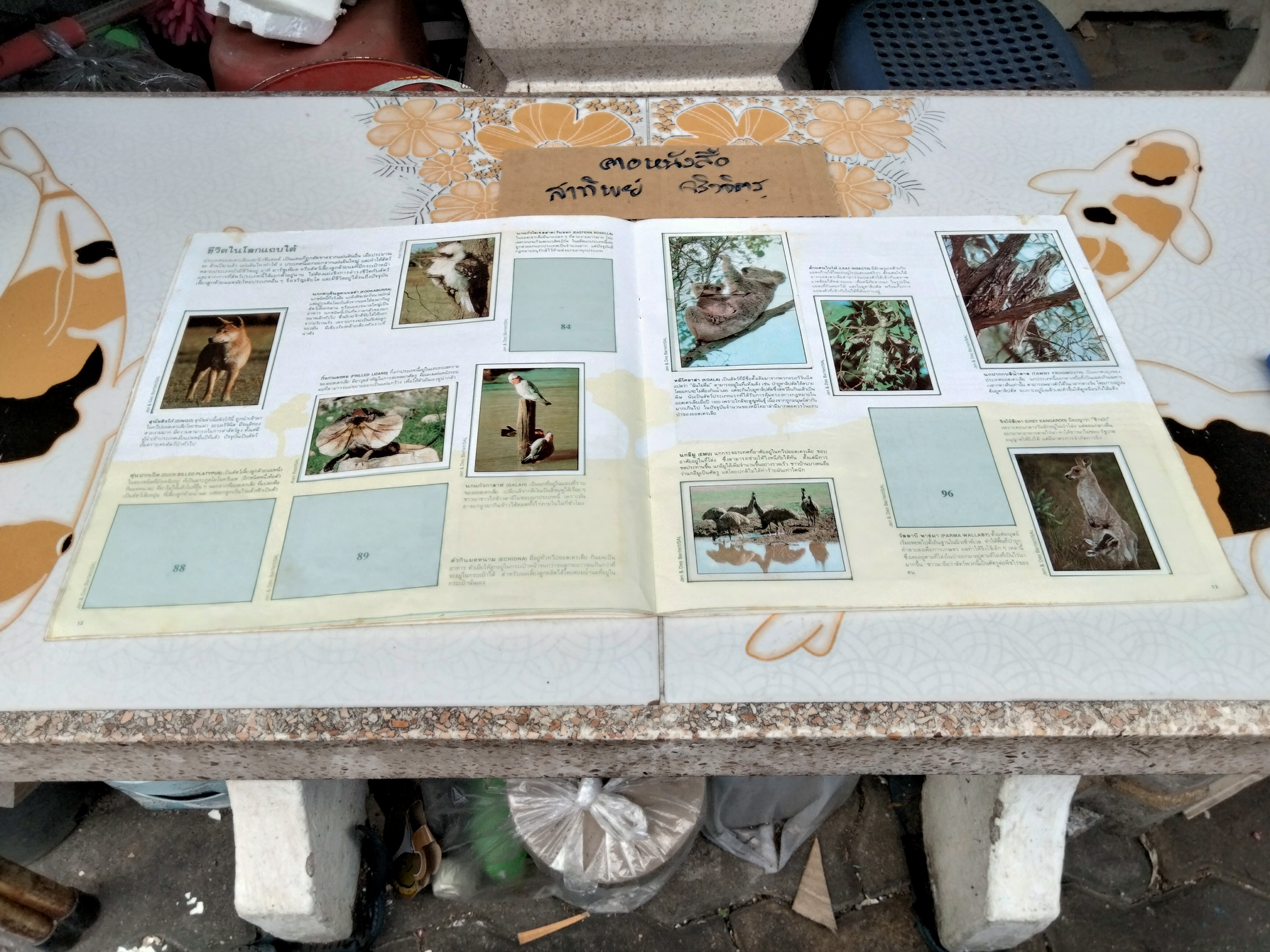 สมุดสะสมสติกเกอร์ ชีวิตสัตว์โลก (แปะสติกเกอร์ 178 รูป จากทั้งหมด 240 รูป) **สินค้าหมด**