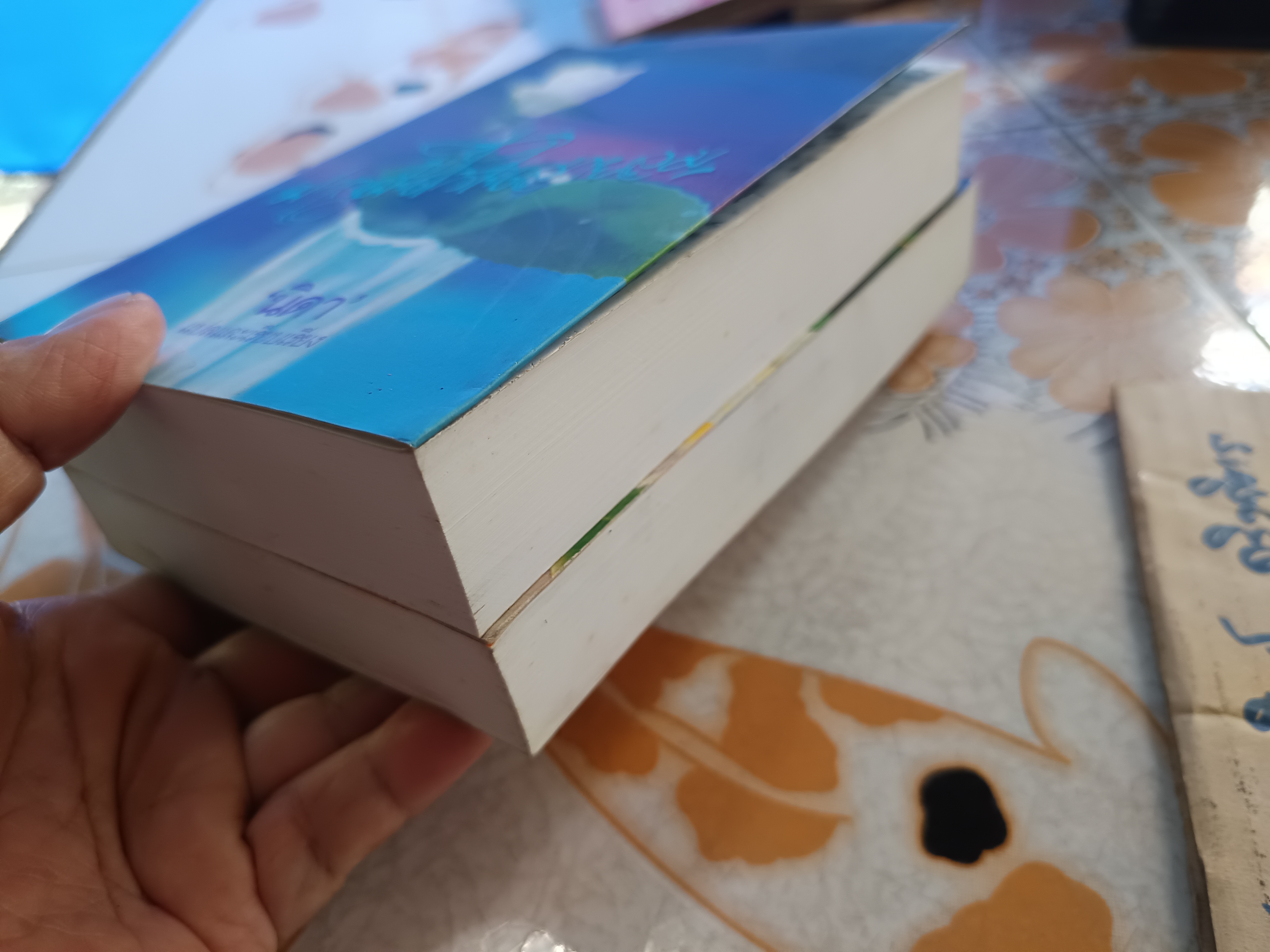 อรุณฉายในสายหมอก + ฝากฝันไว้ในสายลม (ครบ 2 ภาคจบบริบูรณ์) แปลและเรียบเรียง นิดา **สินค้าหมด**