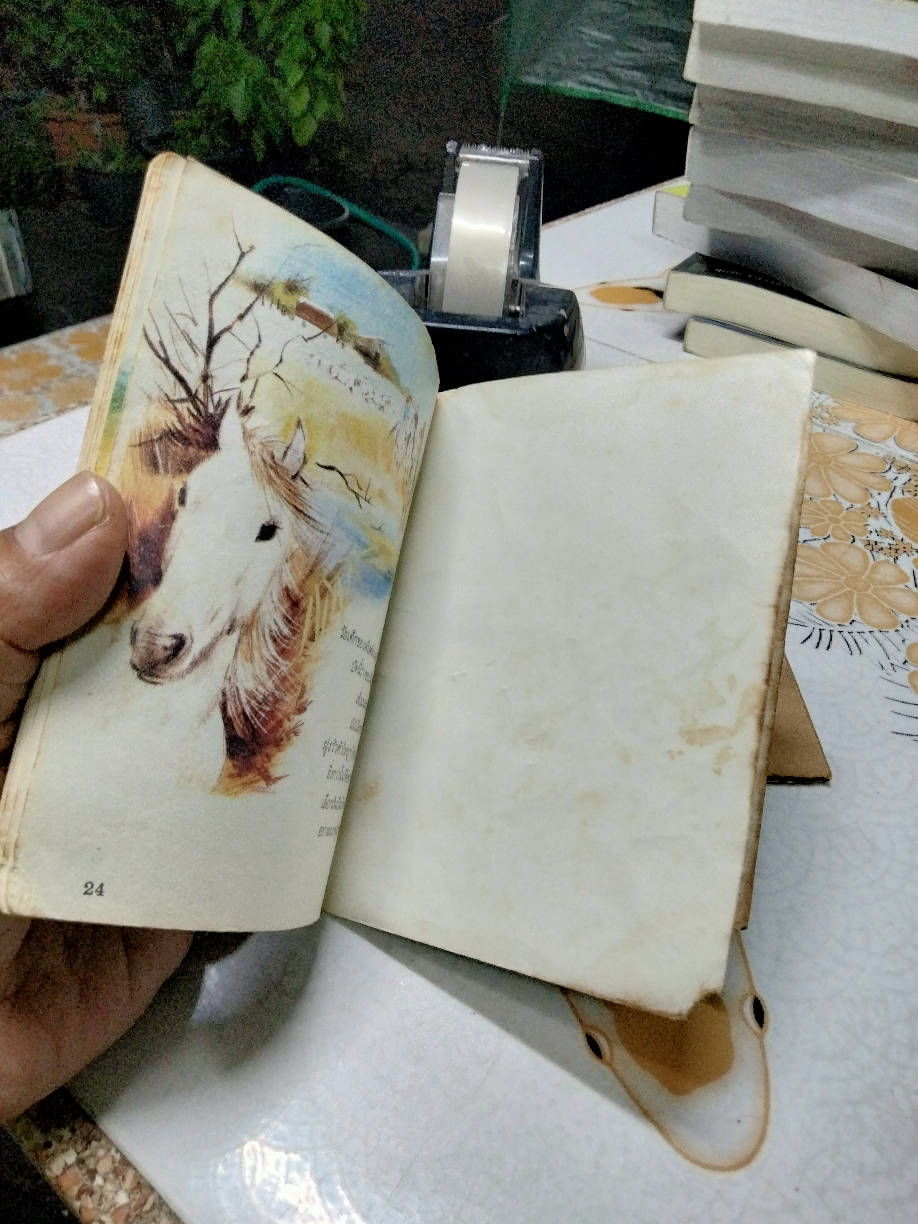 นิทานสำนักพิมพ์สตรอเบอรี่ - ม้าน้อยในทุ่งกว้าง **สินค้าหมด**