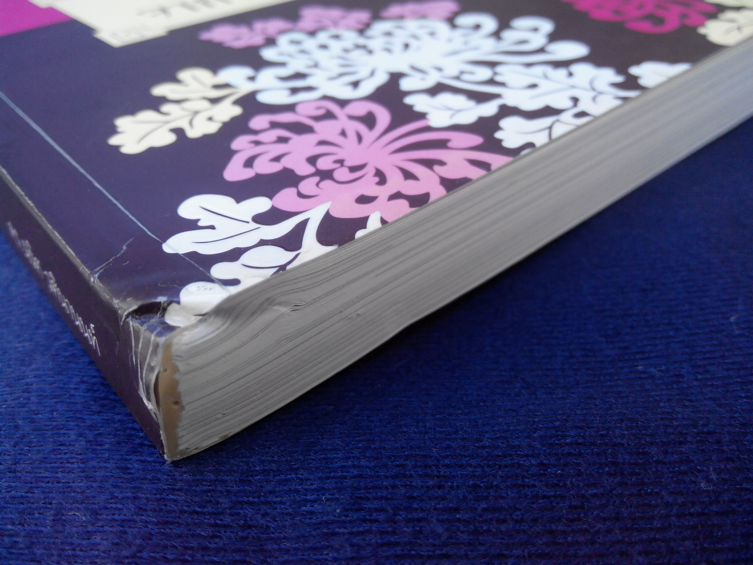 ร้อยเรียงเคียงปัญญา เรียนรู้ภาษาจากวัฒนธรรมจีน - ดร.นริศ วศินานนท์ **สินค้าหมด**