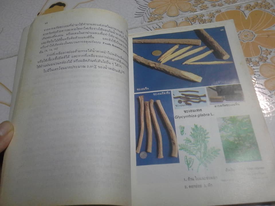 หนังสือสมุนไพร เล่ม 1-3 โครงการศึกษาวิจัยสมุนไพร **สินค้าหมด**