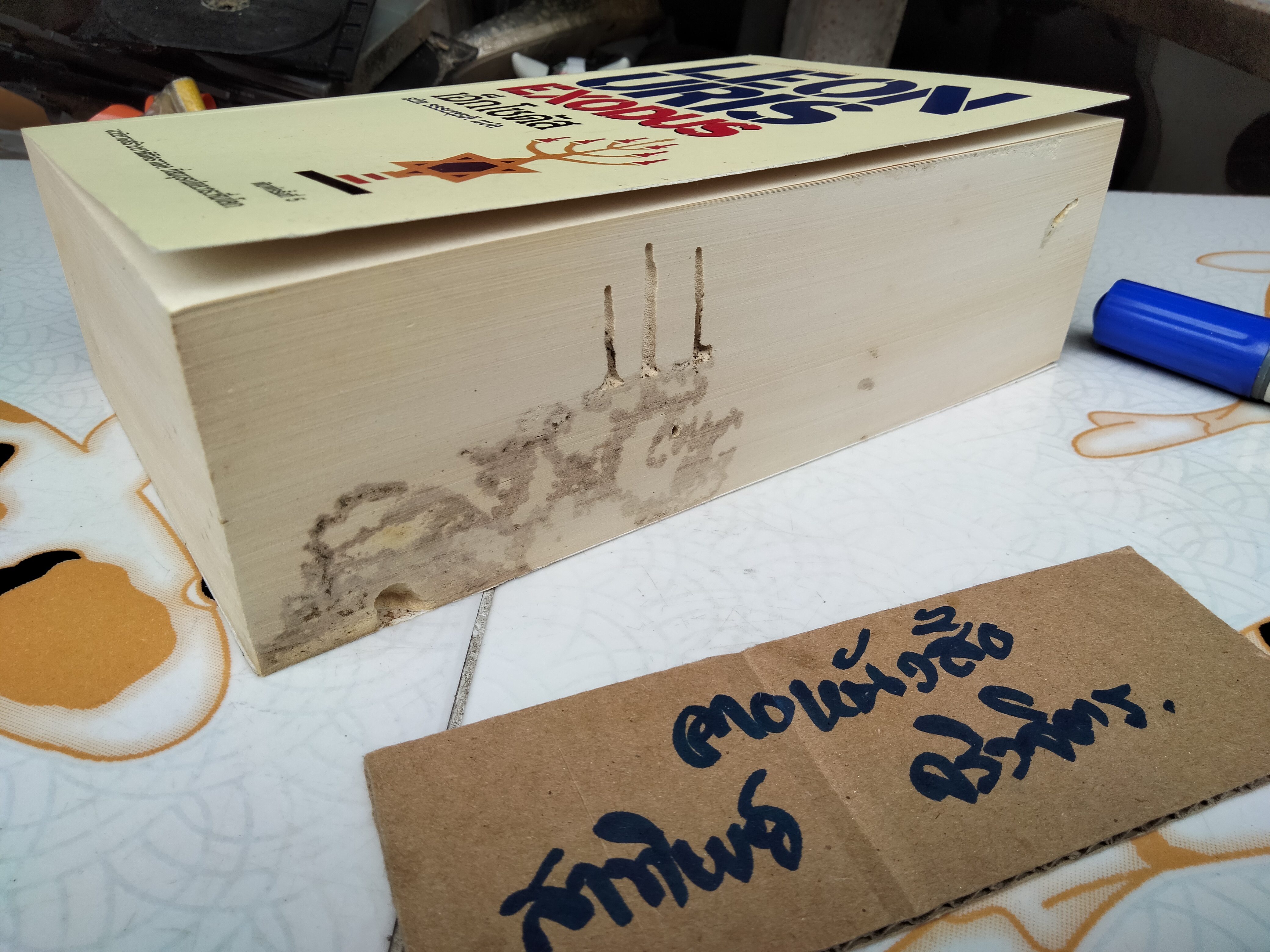 เอ็กโซดัส EXODUS โดย LEON URIS ธนิต ธรรมสุคติ แปล (ตำหนิ มีรอยปลวกกิน) *"สินค้าหมด**