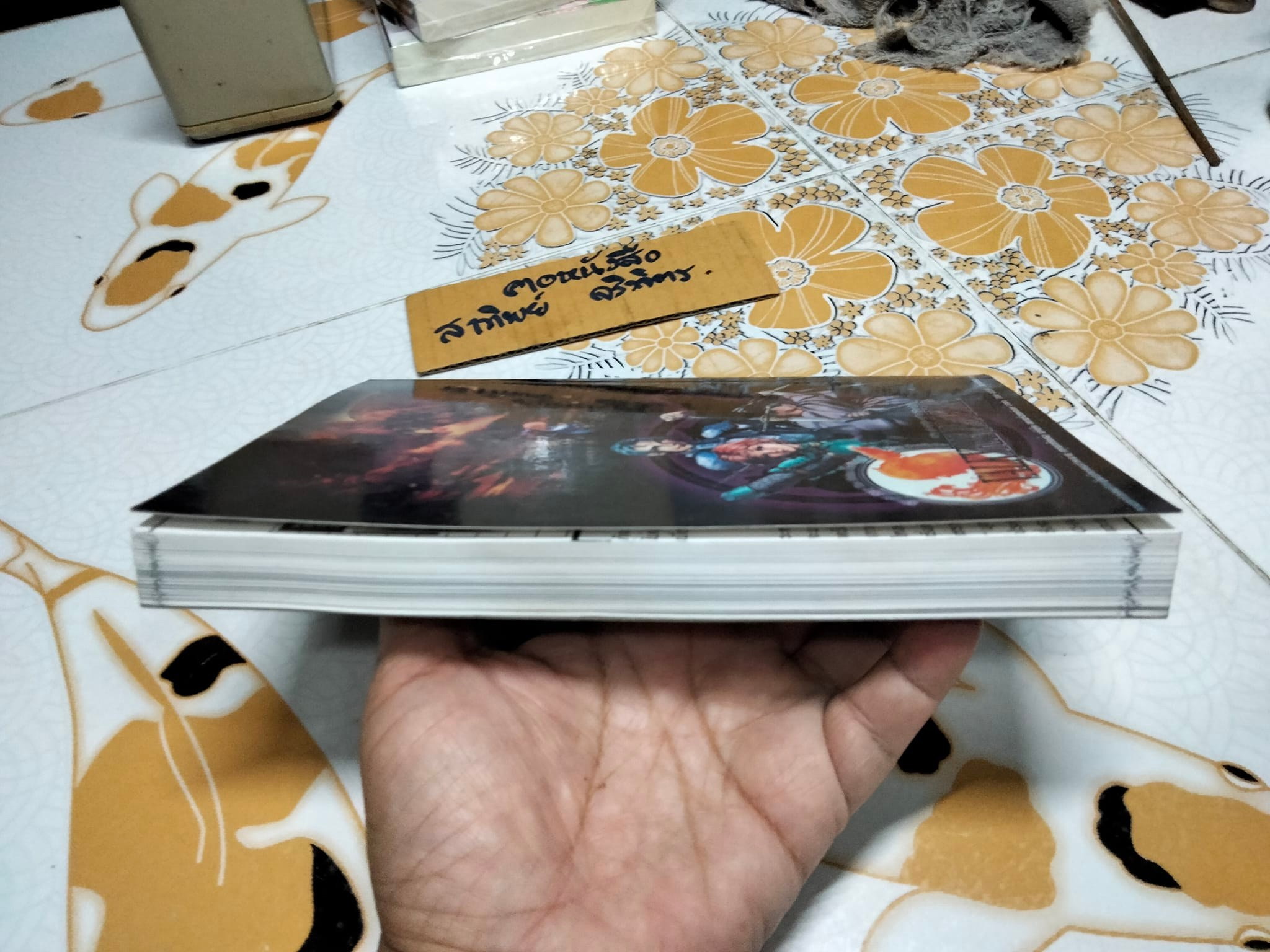 ู่คู่มือเฉลยเกม VALKYRIE PROFILE