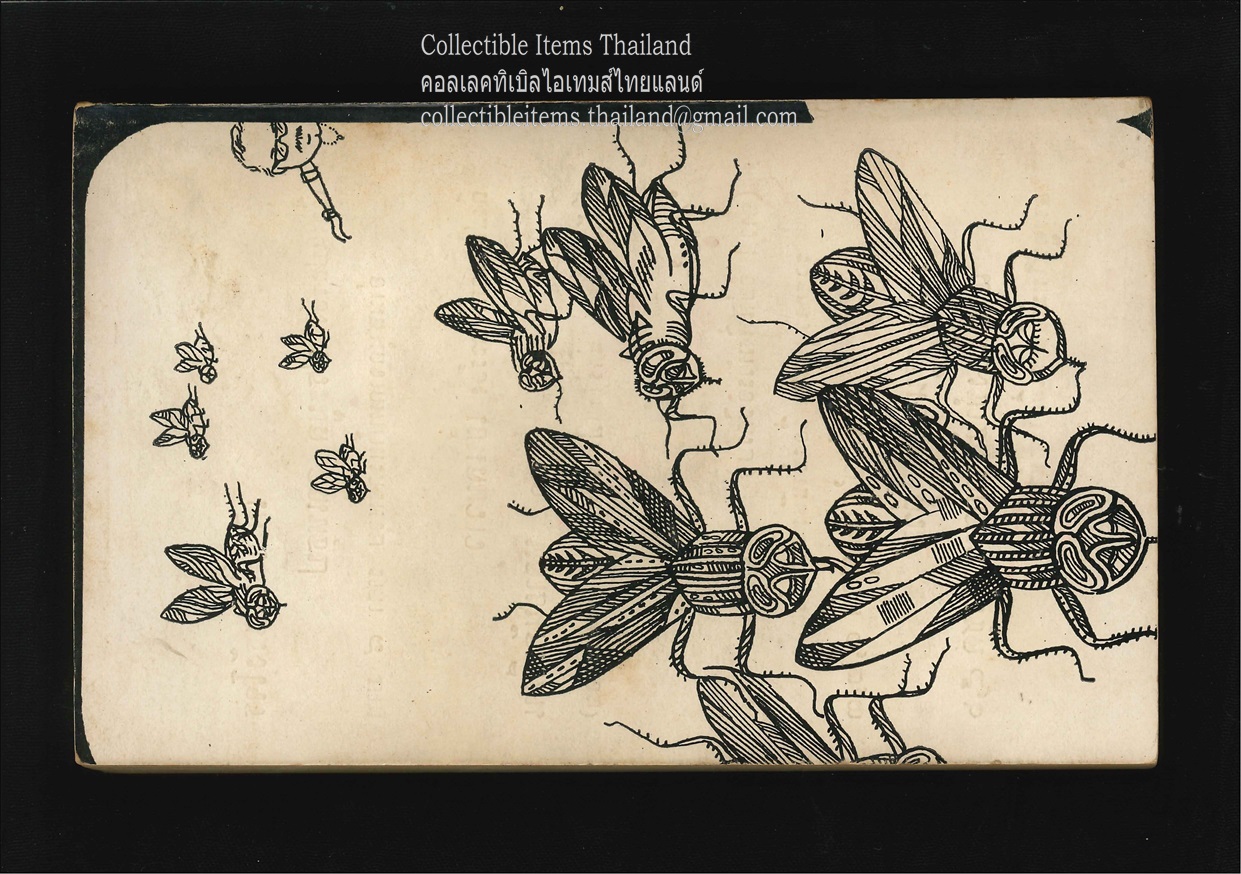 ไอ้แมลงวันที่รัก โดย'รงค์.วงษ์สวรรค์ พิมพ์ครั้งแรก สนพ.ประพันธ์สาส์น พ.ศ.2514 **สภาพสวย สันสวย**