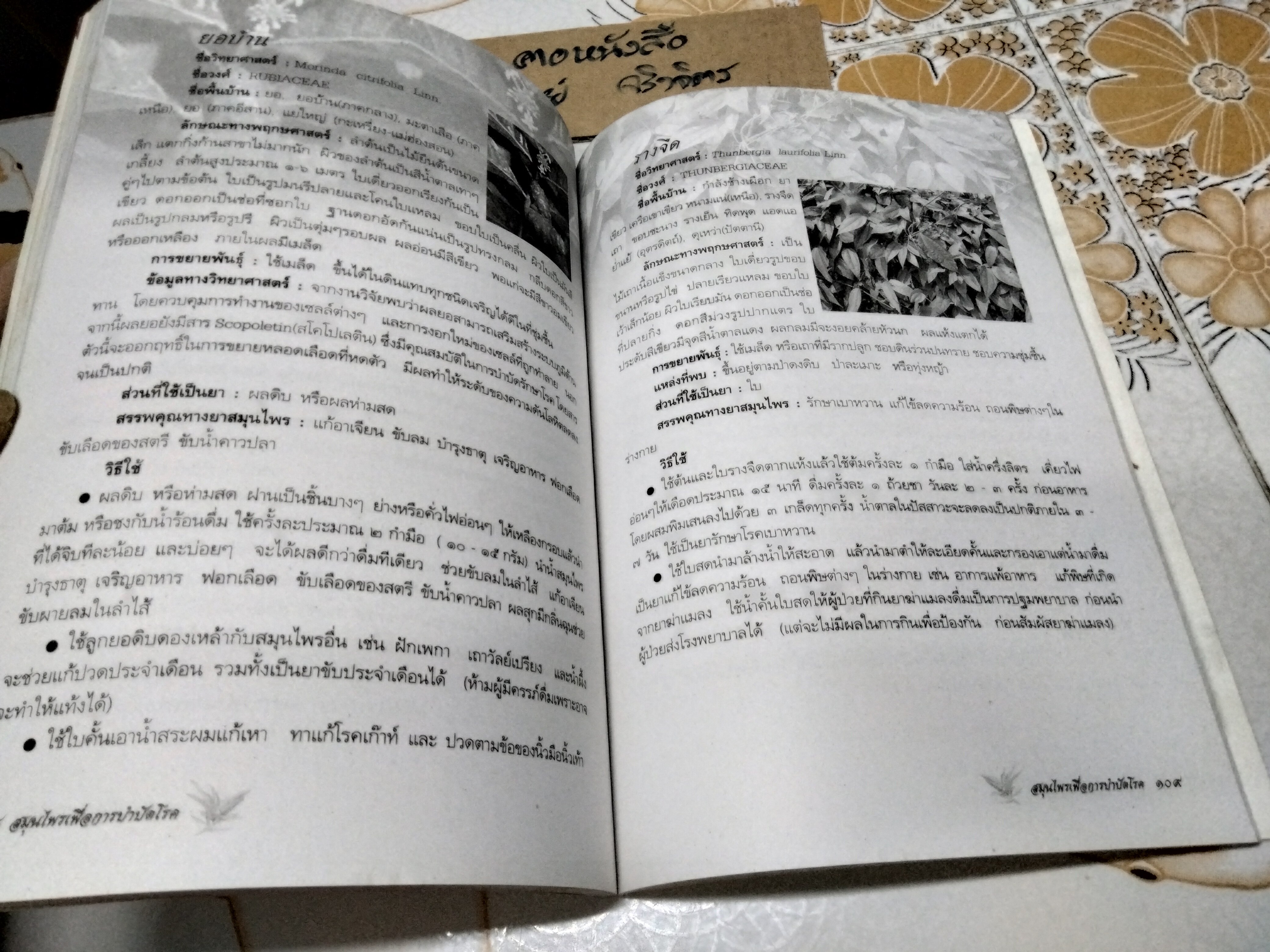 สมุนไพรเพื่อการบำบัดโรค - เรียบเรียงโดย แก้ว กาญจนา **สินค้าหมด*"