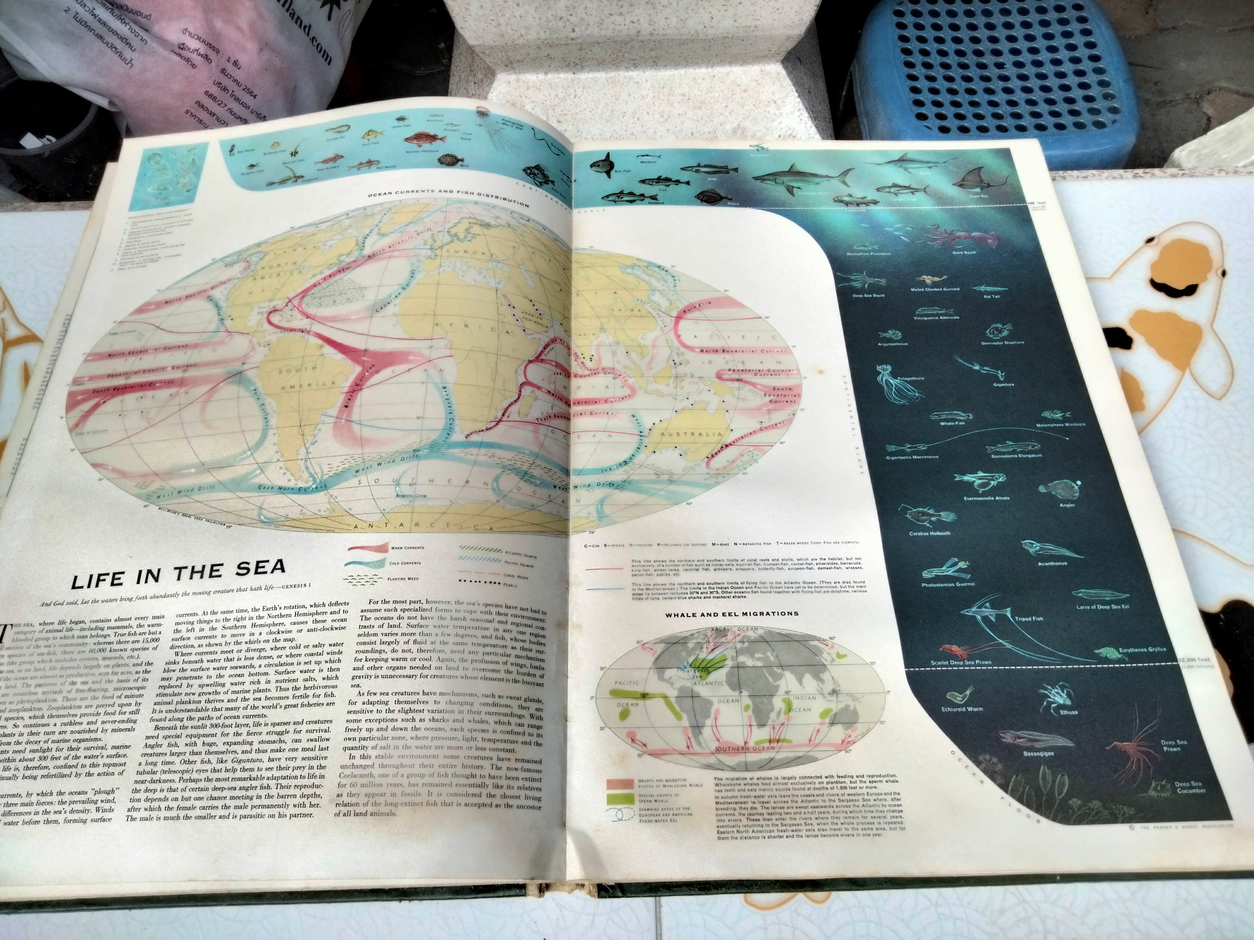 The Reader's Digest Great World Atlas . 1968 Second Edition