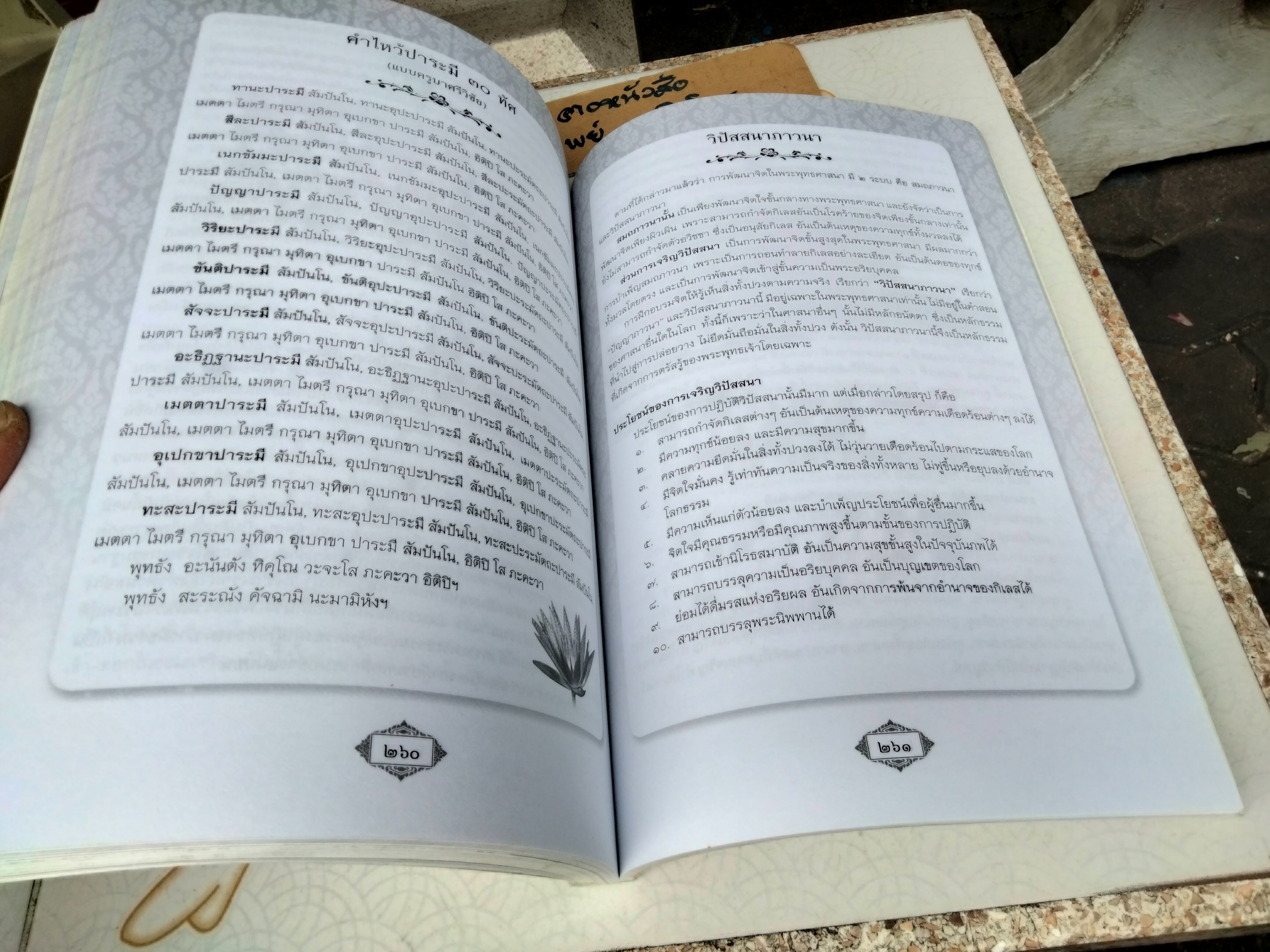 ตามรอยหลวงปู่ใหญ่ (ฉบับพิเศษ) เรียบเรียงโดย คุณชลธิชา ชาญวิชา ฉบับพิมพ์ปี พ.ศ.2553