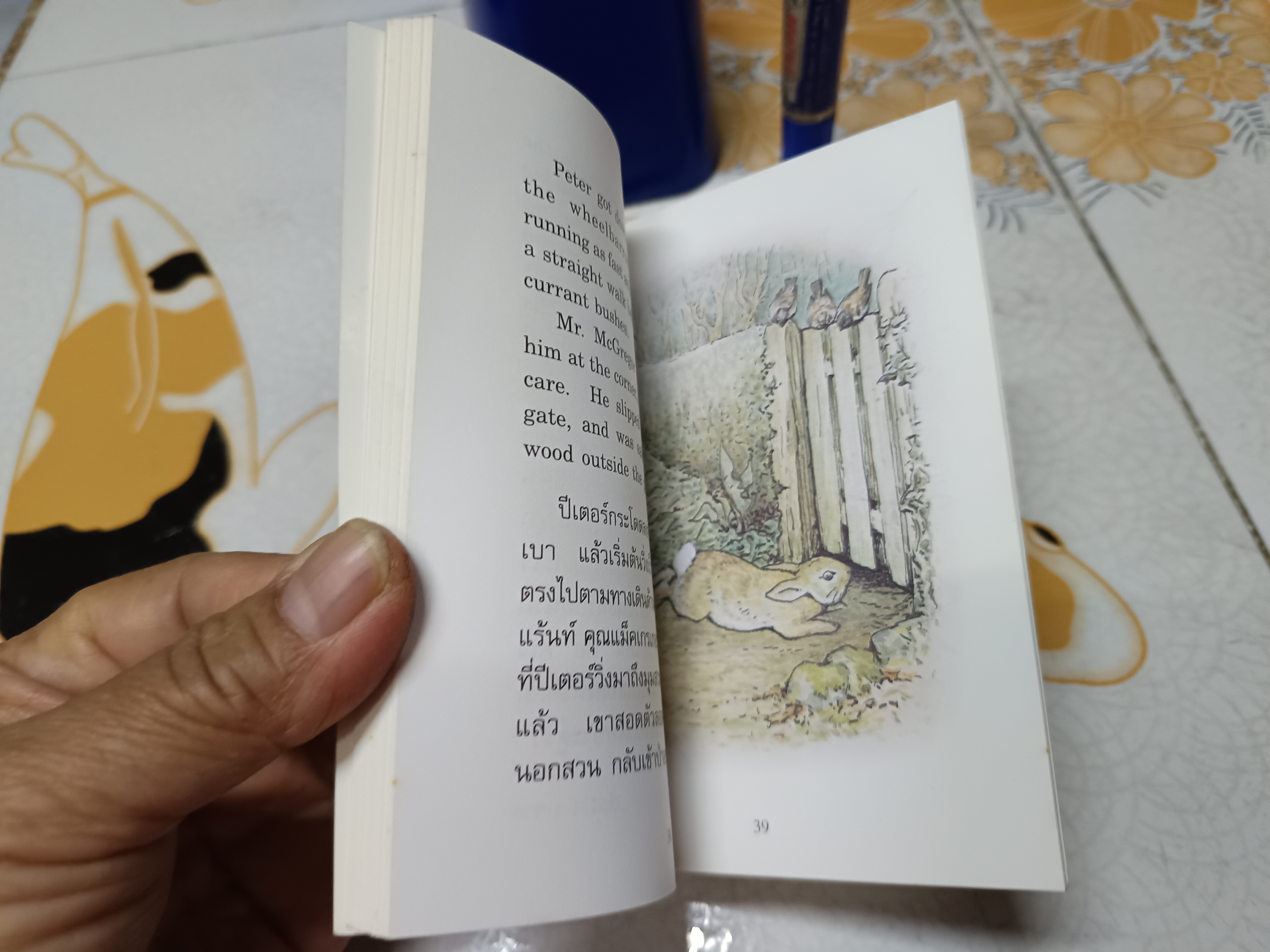 กระต่ายน้อยปีเตอร์ THE TALE OF PETER RABBIT เล่มเล็ก อภินันทนาการจากการบินไทย **สินค้าหมด"*
