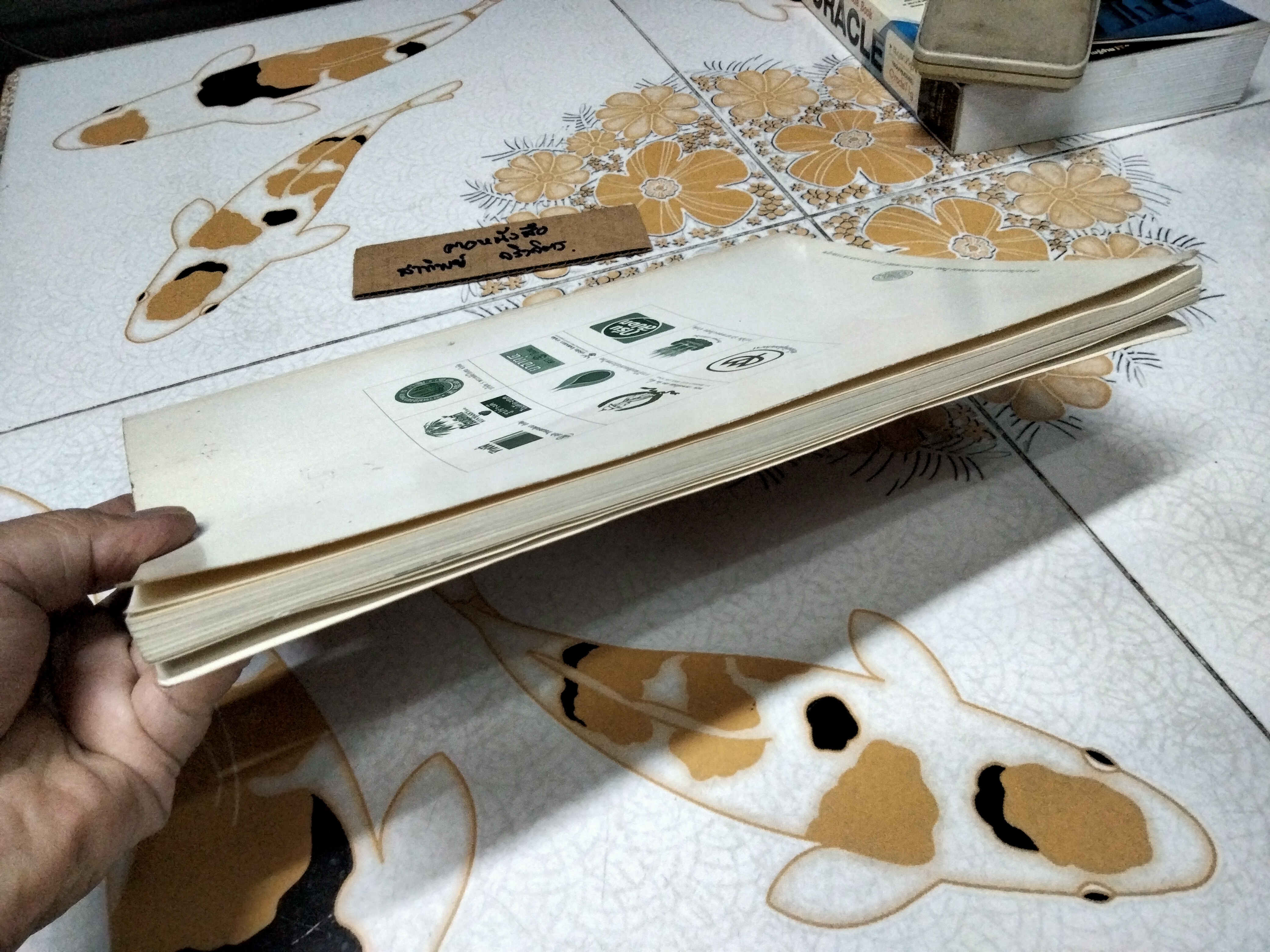 ชุมนุมแพทย์แผนไทย และสมุนไพรแห่งชาติ ครั้งที่ 2 /2541