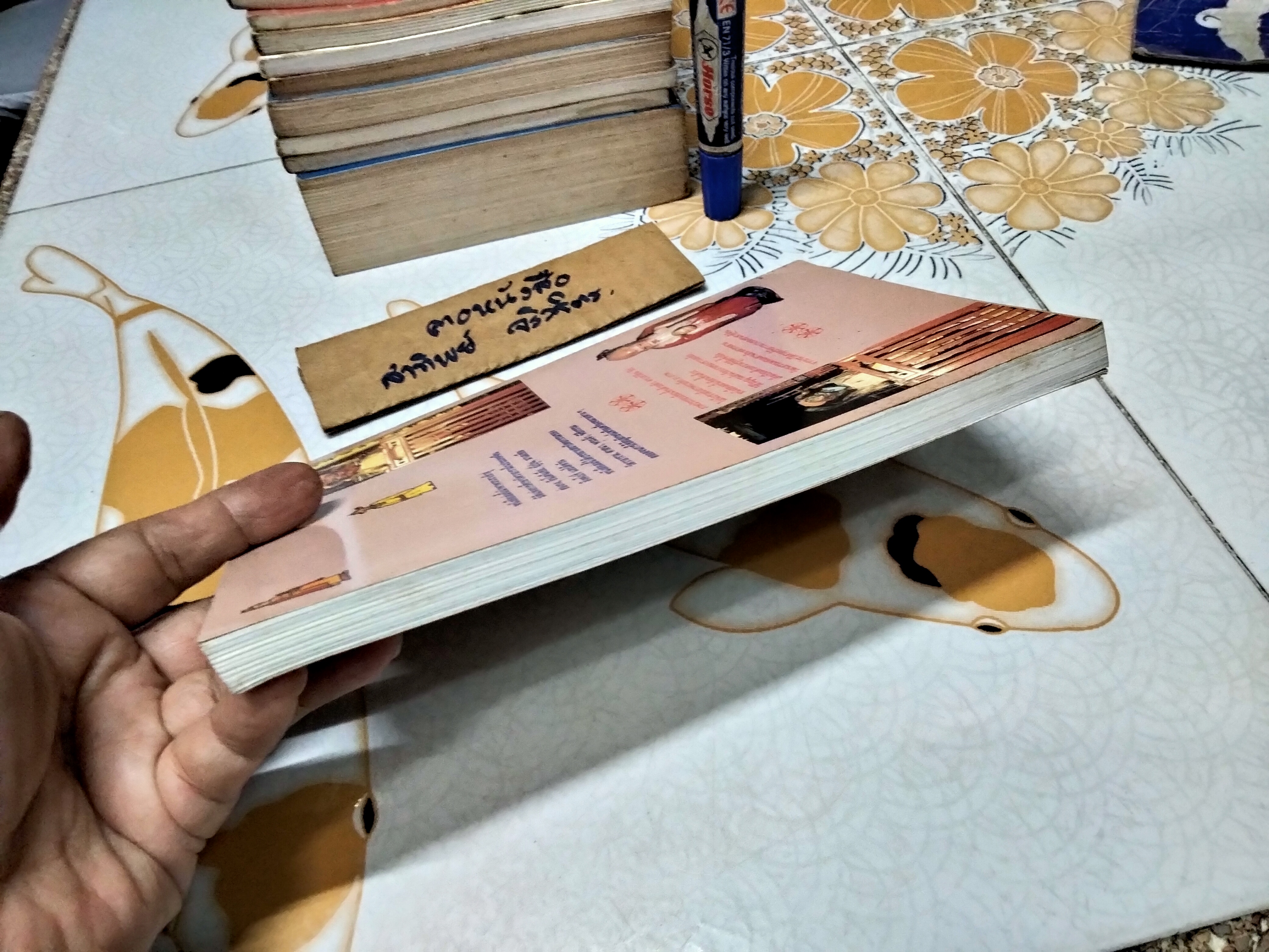 ตำนานวัดและเทพเจ้าจีน เอวีลีน ลิป เขียน ต้าฟู๊ เรียบเรียง **สินค้าหมด**