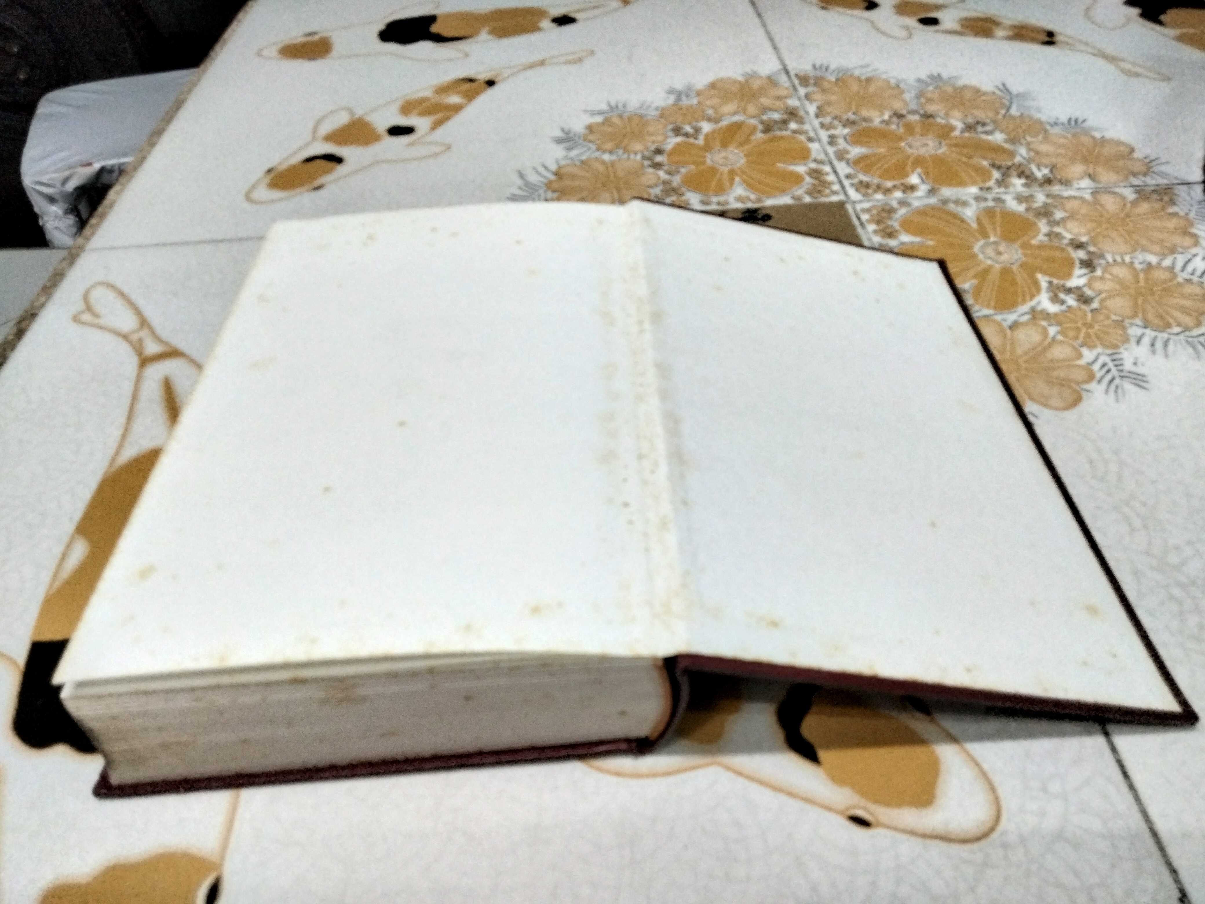 พจนานุกรม ไทย-จีน (ปกแข็ง)