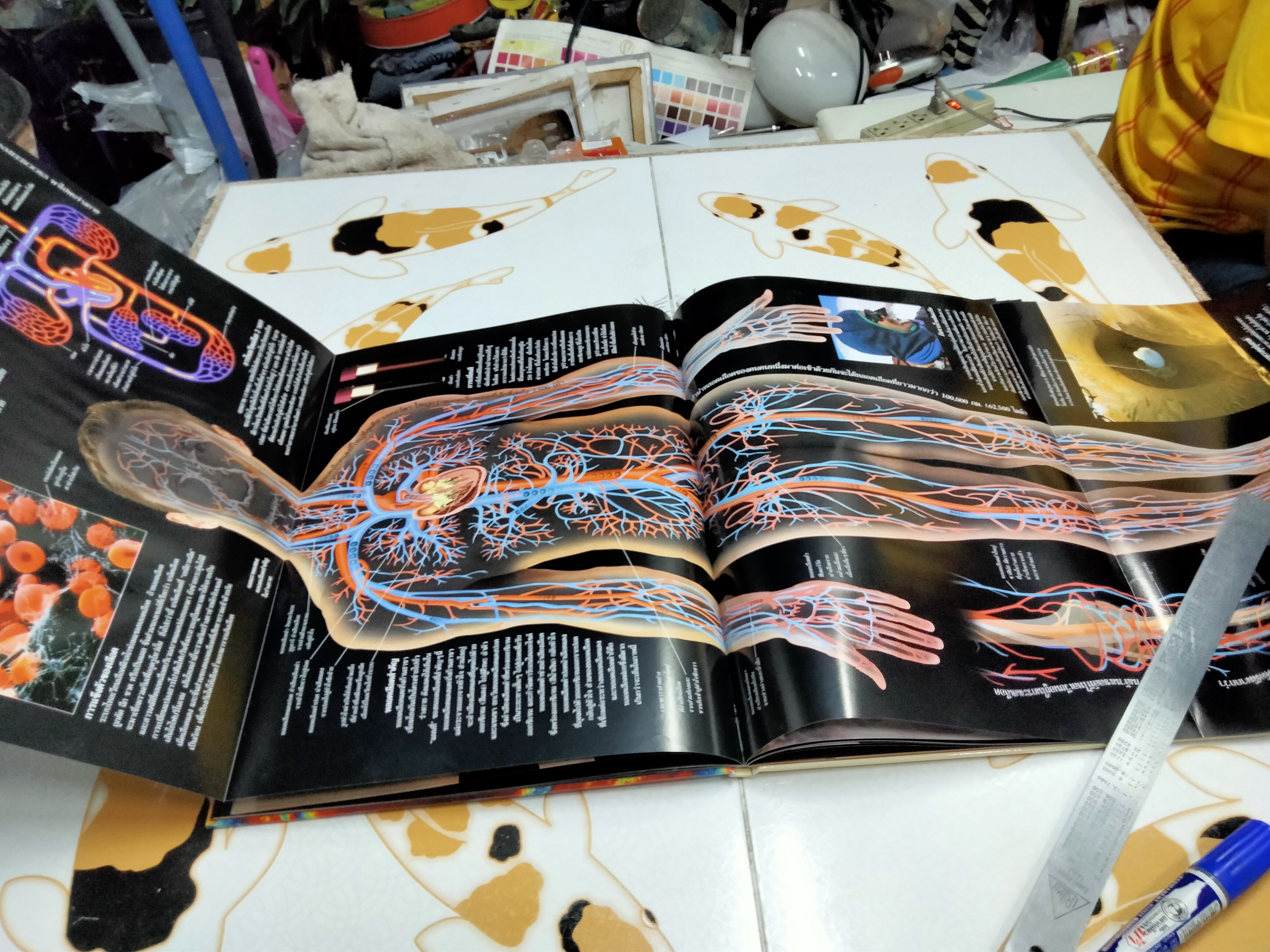 NANMEEBOOKS พาไปพบร่างกาย - Richard Walker เขียน, มีนา โอวราวินทร์ แปล (มีตราประทับจากห้องสมุดที่ใบรองปกหน้าและหลัง)