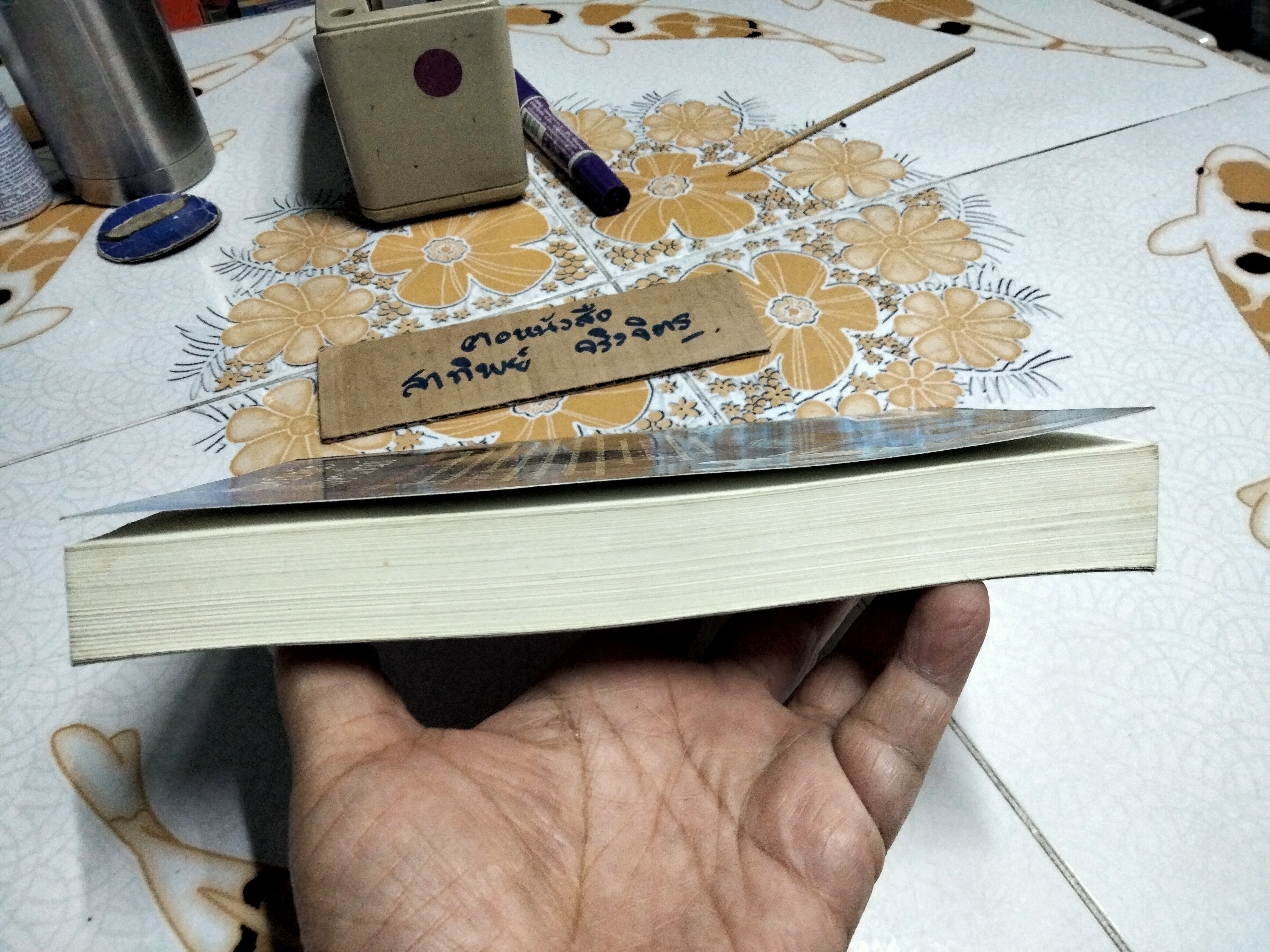 มหันตภัยเหนือแซ็งตาแฟร็กซ์ (The Edge Chronicles) โดย พอล สจ็วต , คริส ริดเดลล์ แปลโดย วิทยาพลายมณี **สินค้าหมด**