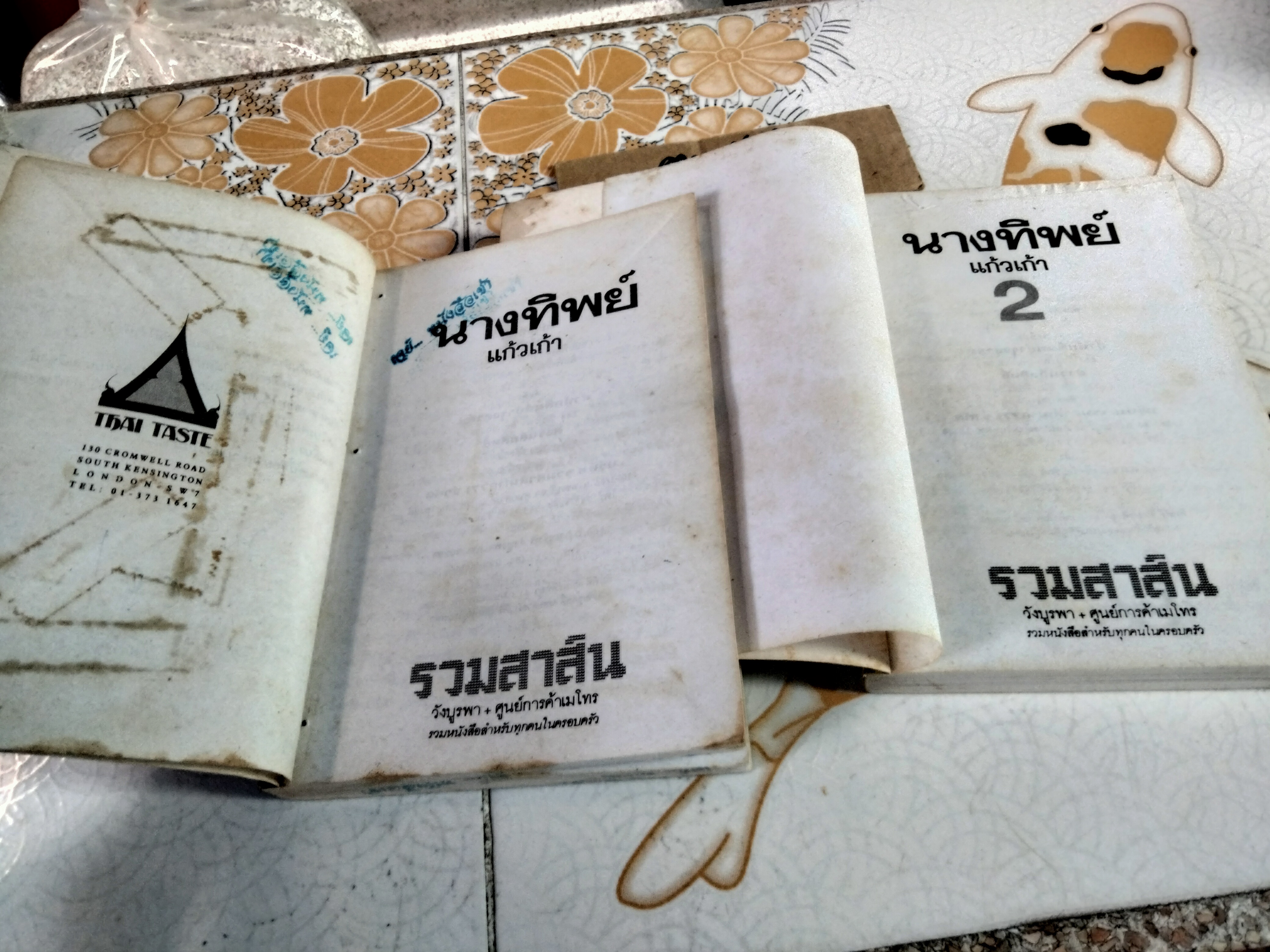 นางทิพย์ (2 เล่มจบ) แก้วเก้า (เช่า+บ้าน) **สินค้าหมด**