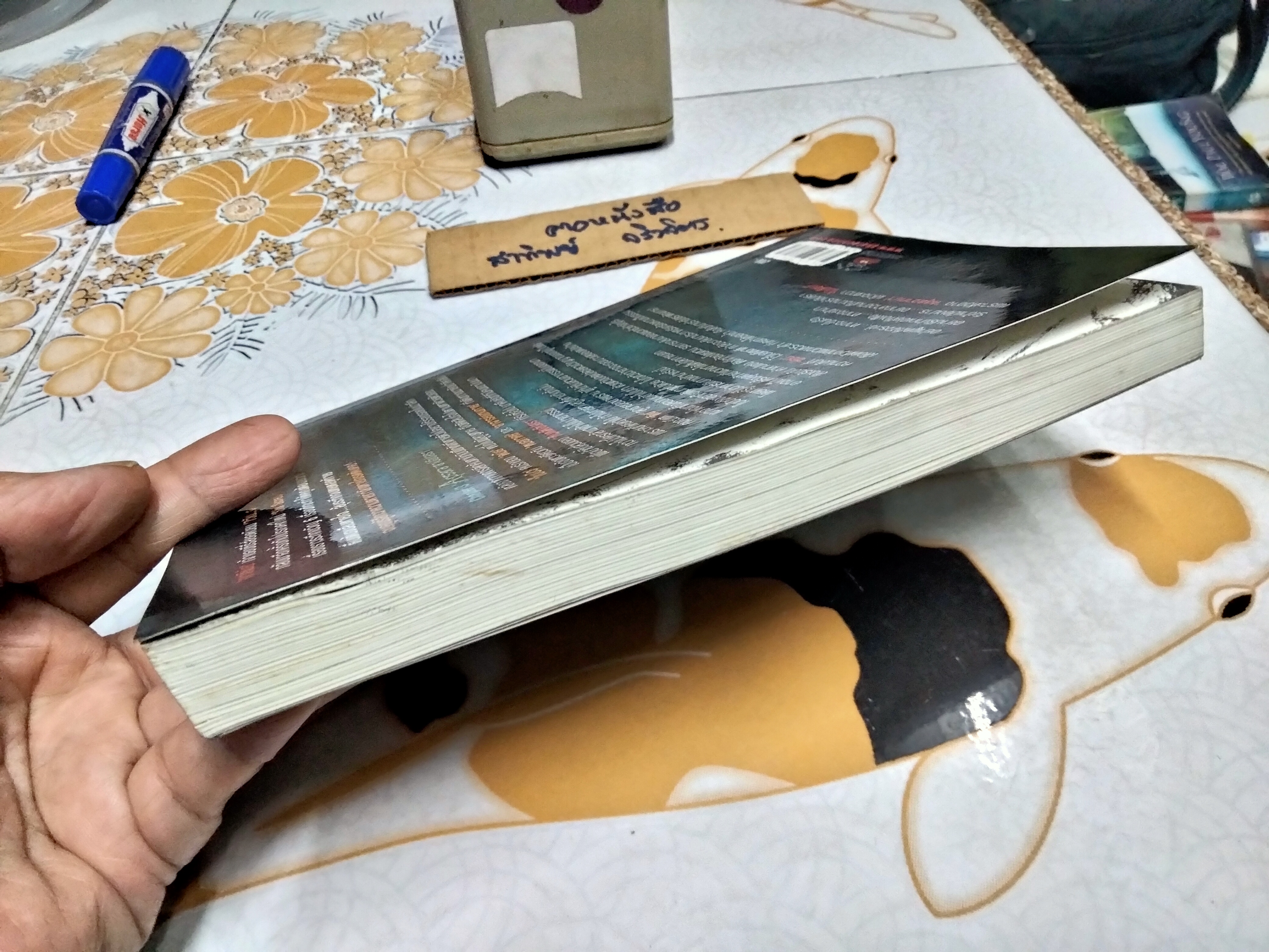 สาปอัปสรา Apsara - ภาคินัย (แผ่นสติกเกอร์หุ้มปก) **สินค้าหมด**